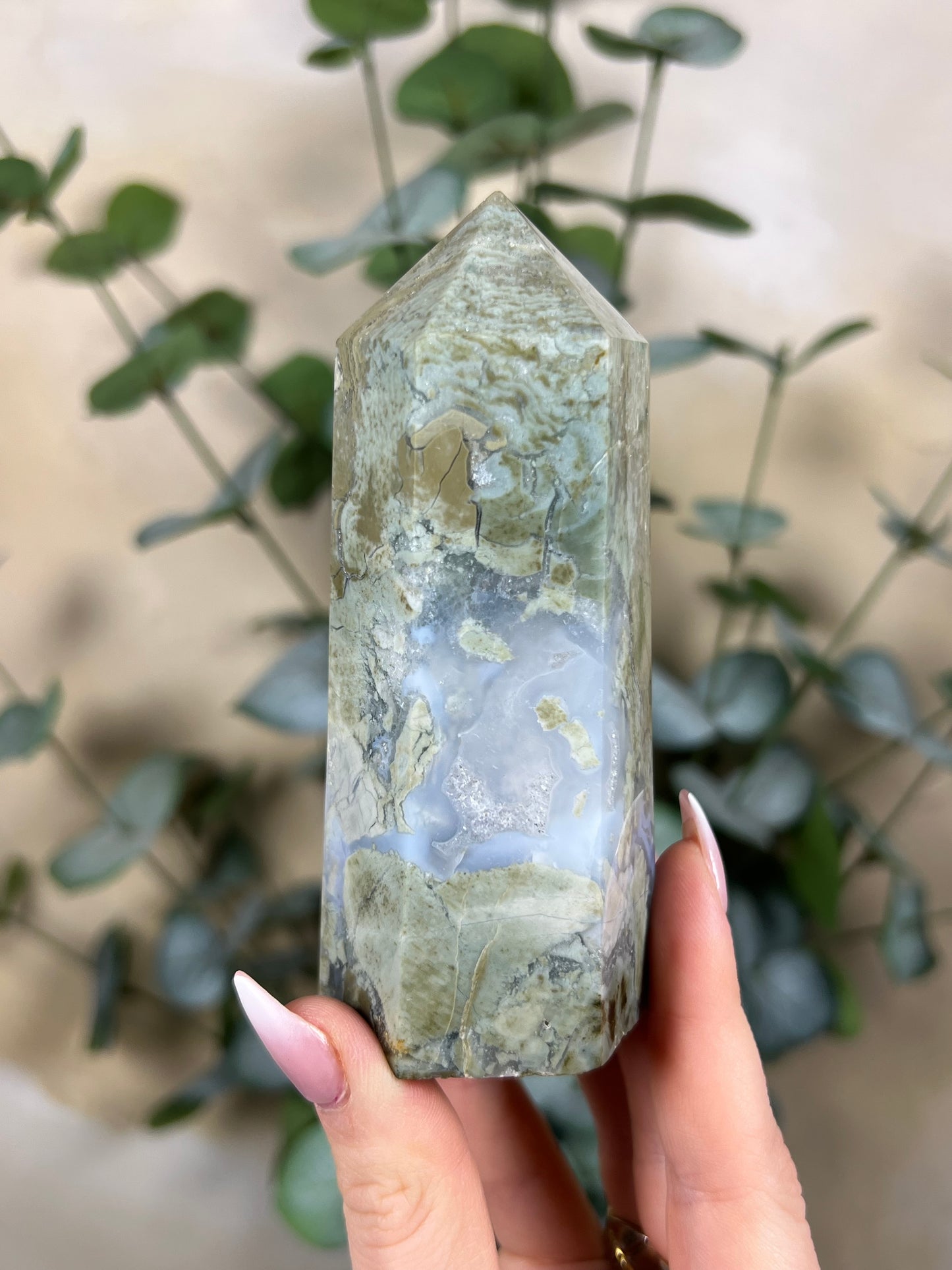 Ibis Jasper Tower (33EX)