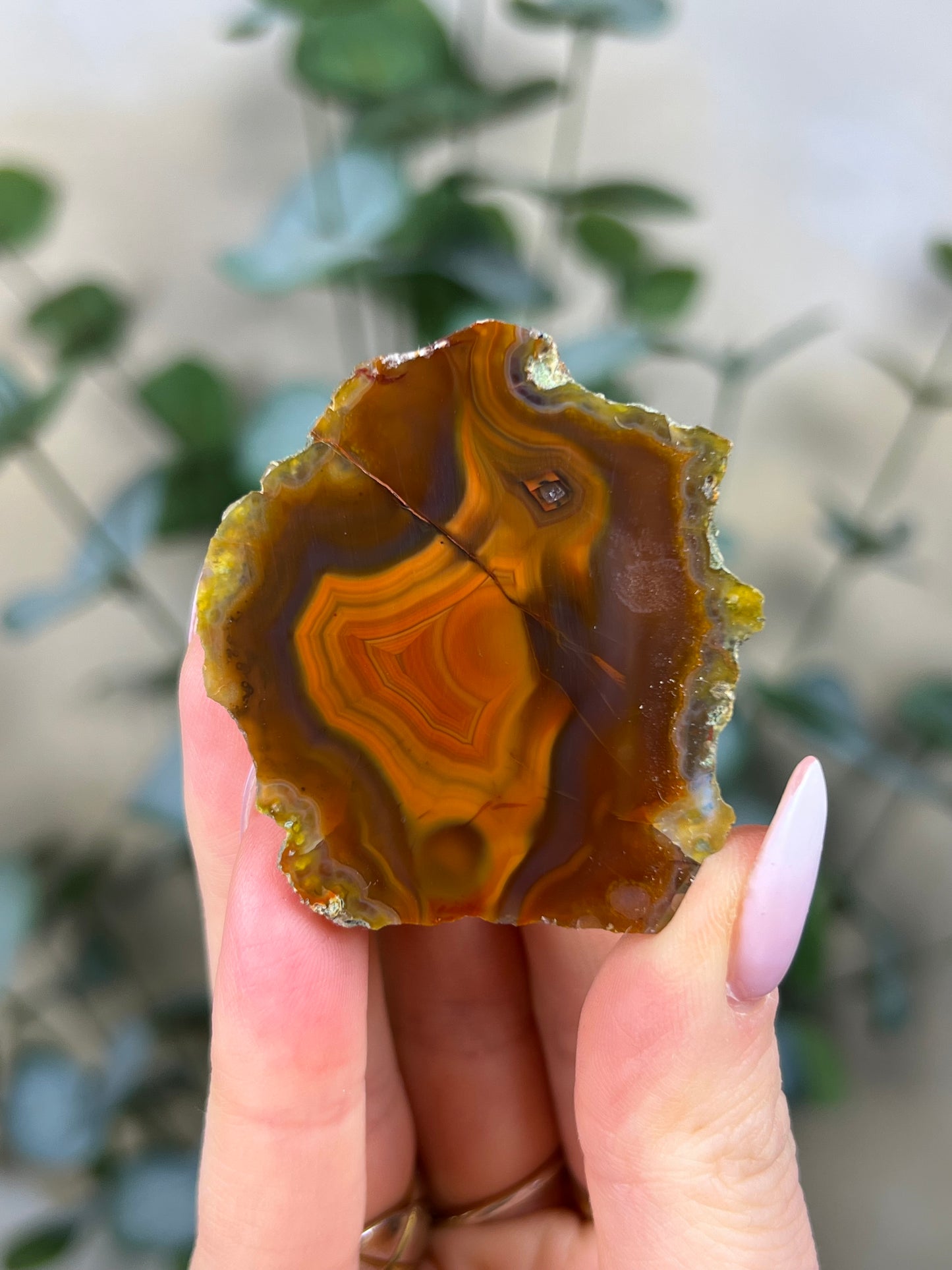 Condor Agate (18GY)