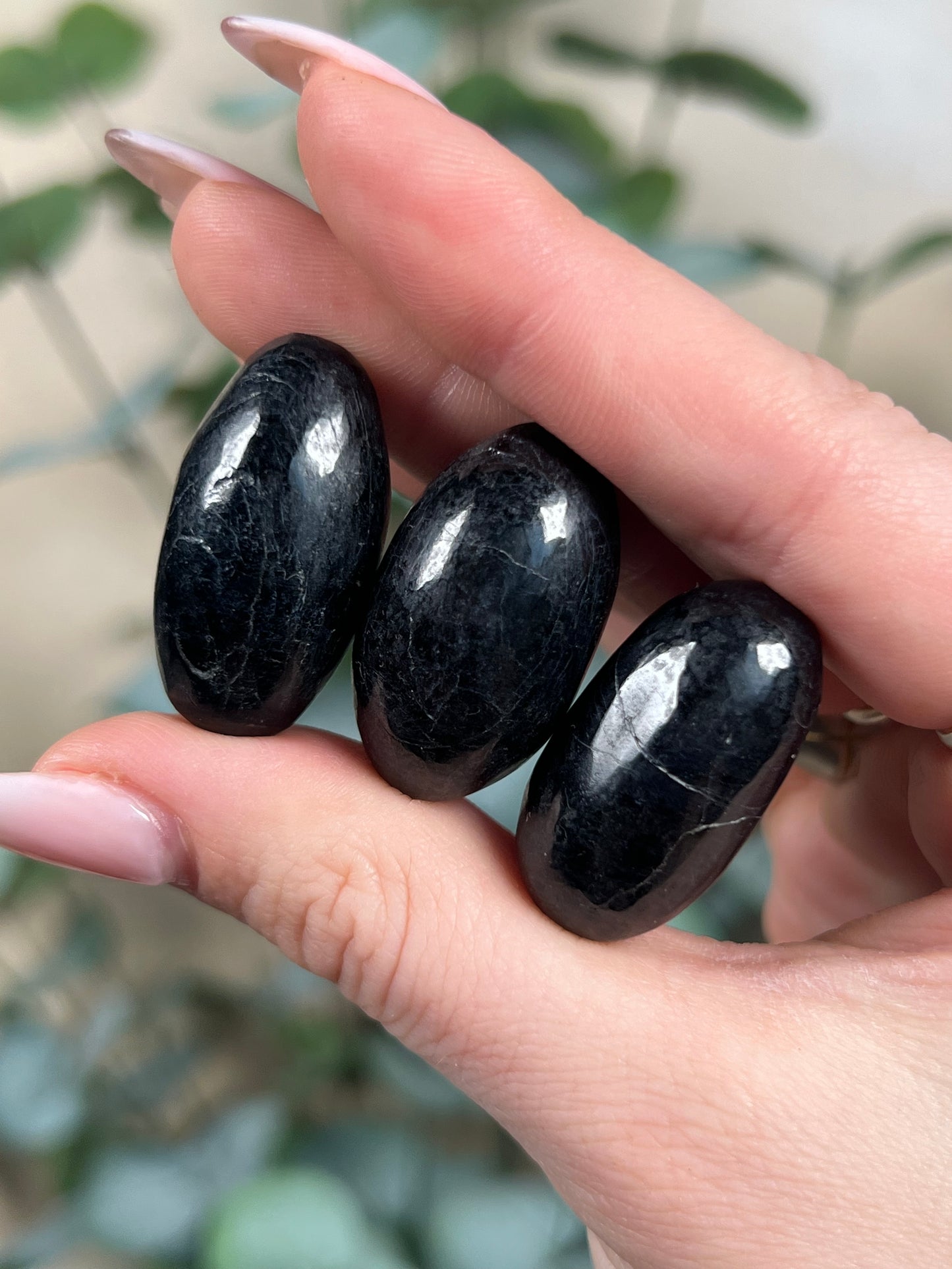 Black Tourmaline Mini Shivas (intuitive)