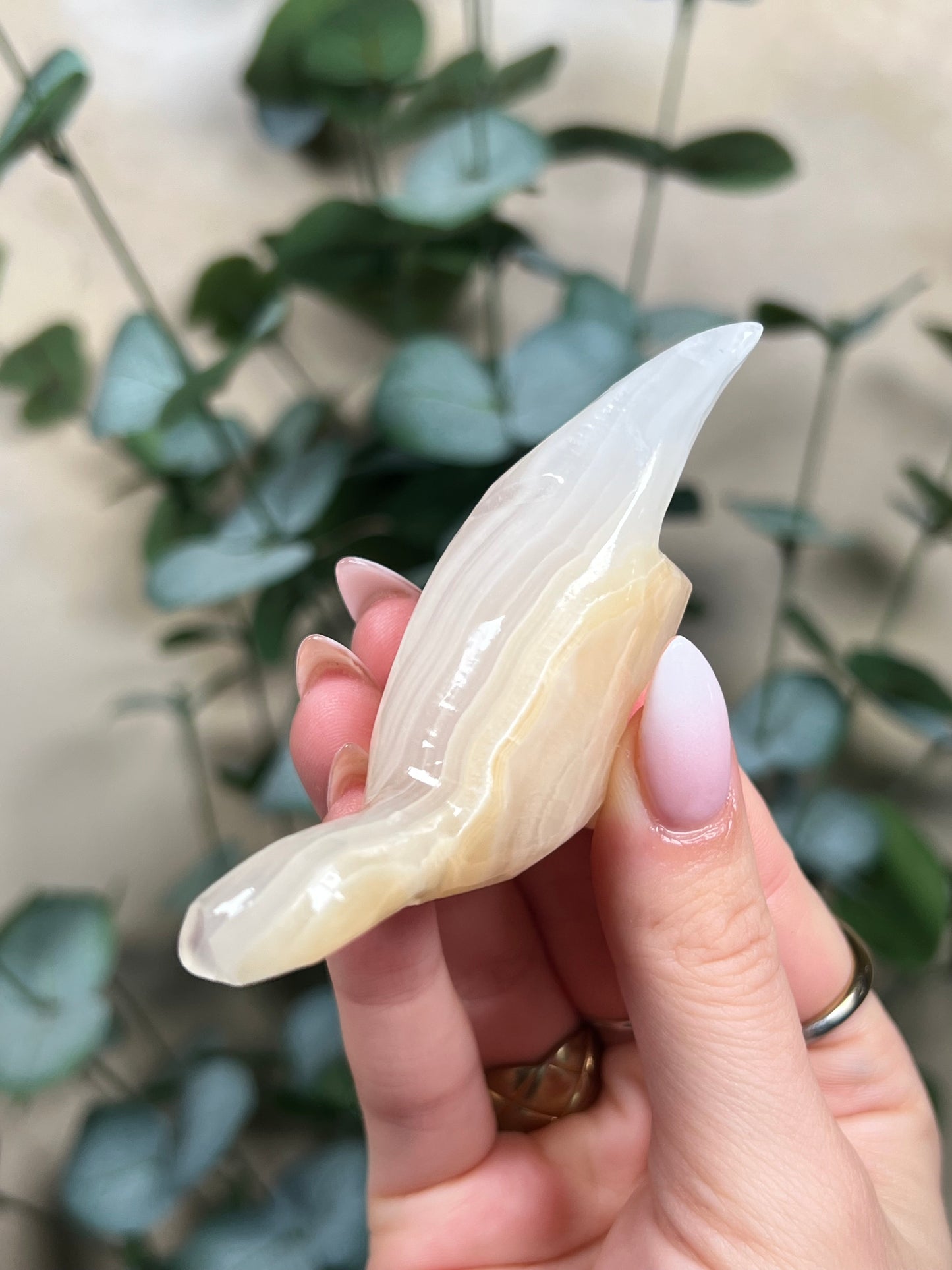 Calcite Dino - Brontosaurus