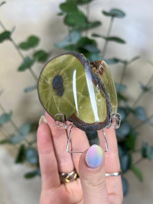 Argentinian Orbicular Jasper (64AA)