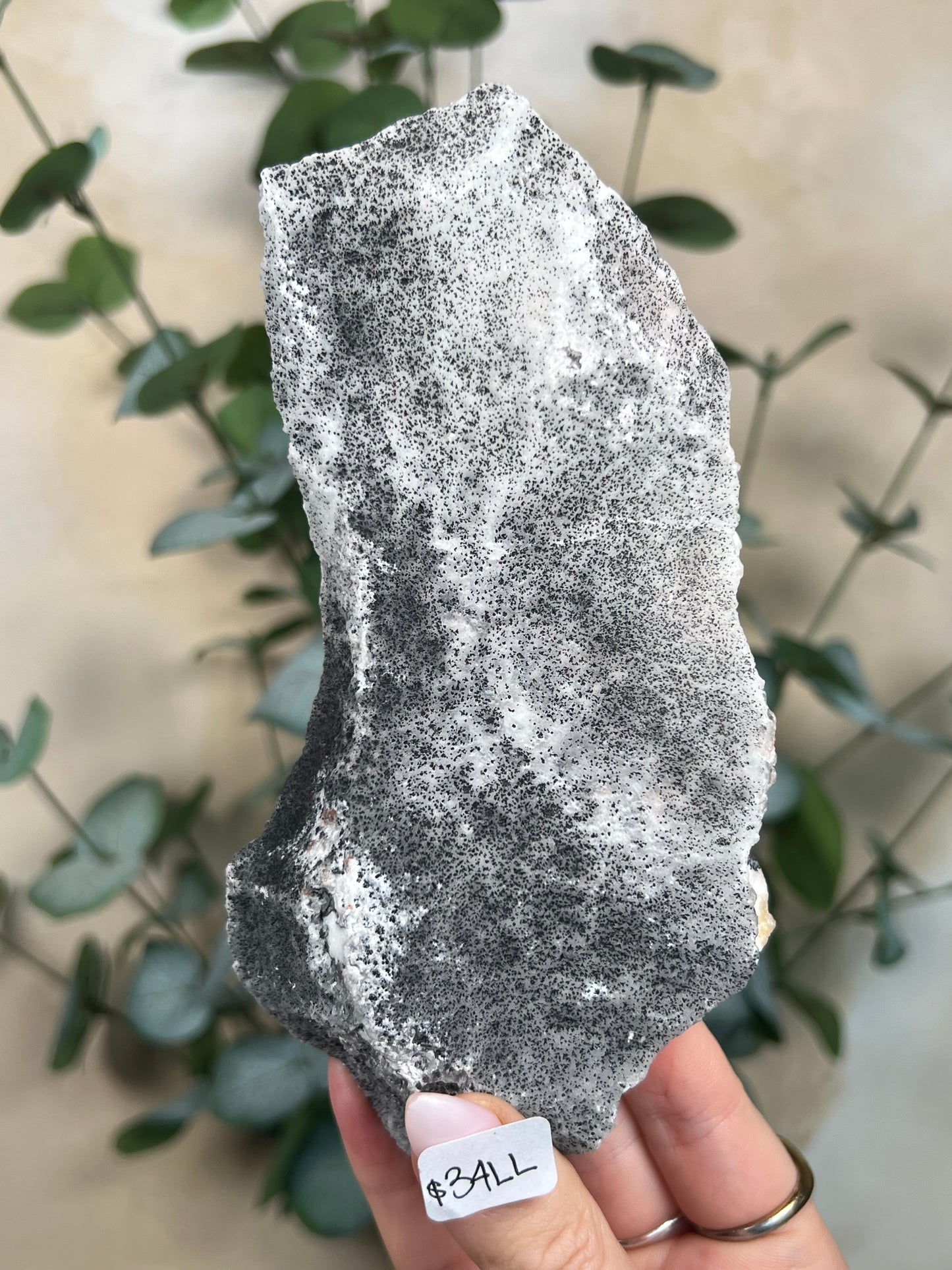 Zebra Calcite Slabs with Stands (4 options)