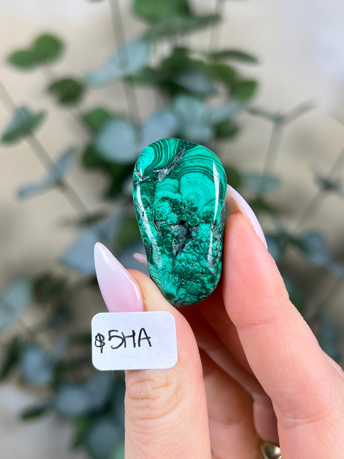 Malachite Polished (5GZ, 5HA)