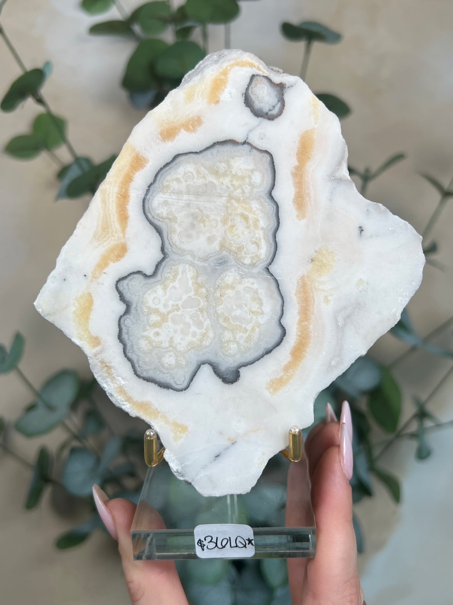 Zebra Calcite Slabs with Stands (4 options)