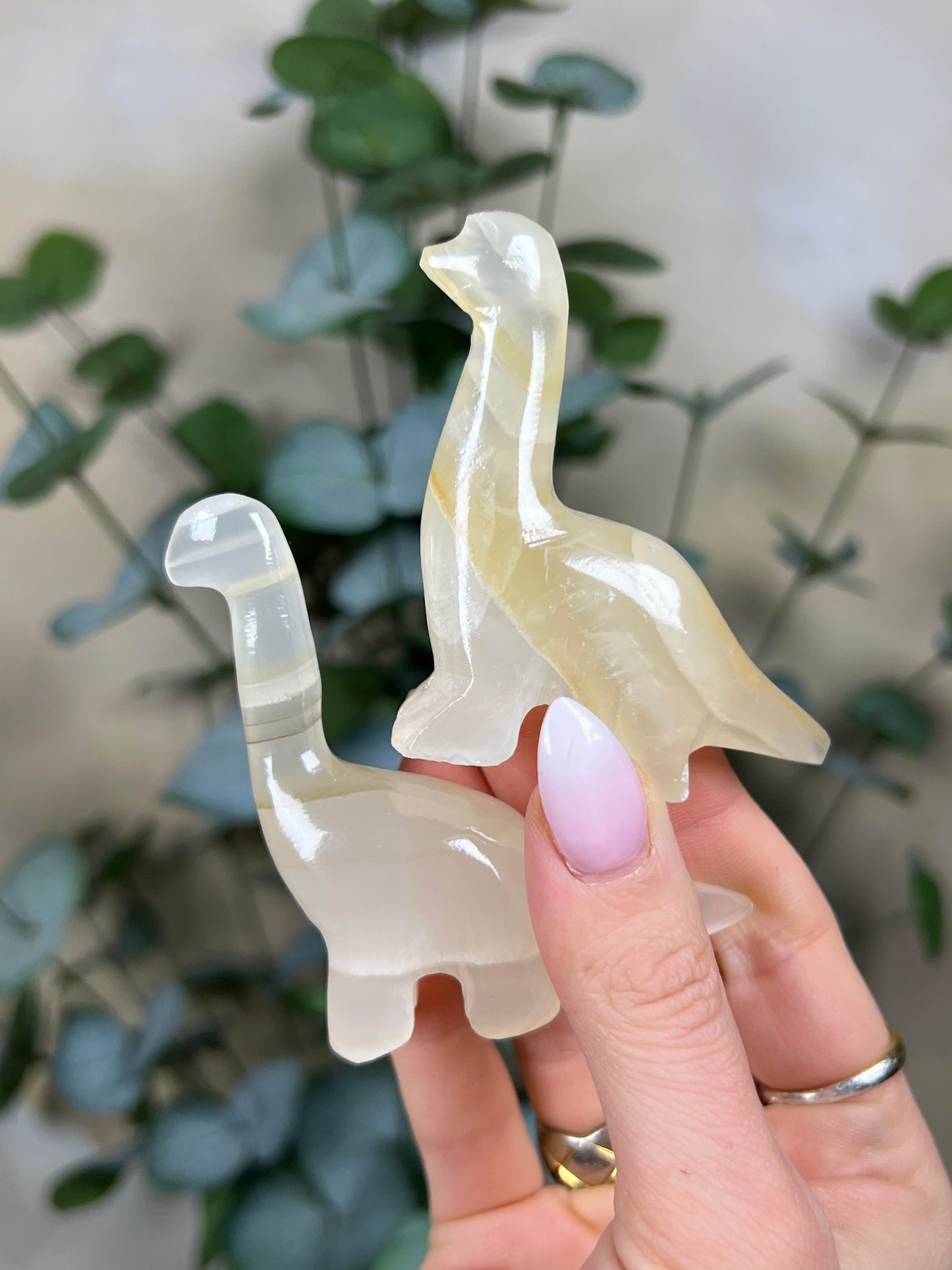 Calcite Brontosaurus