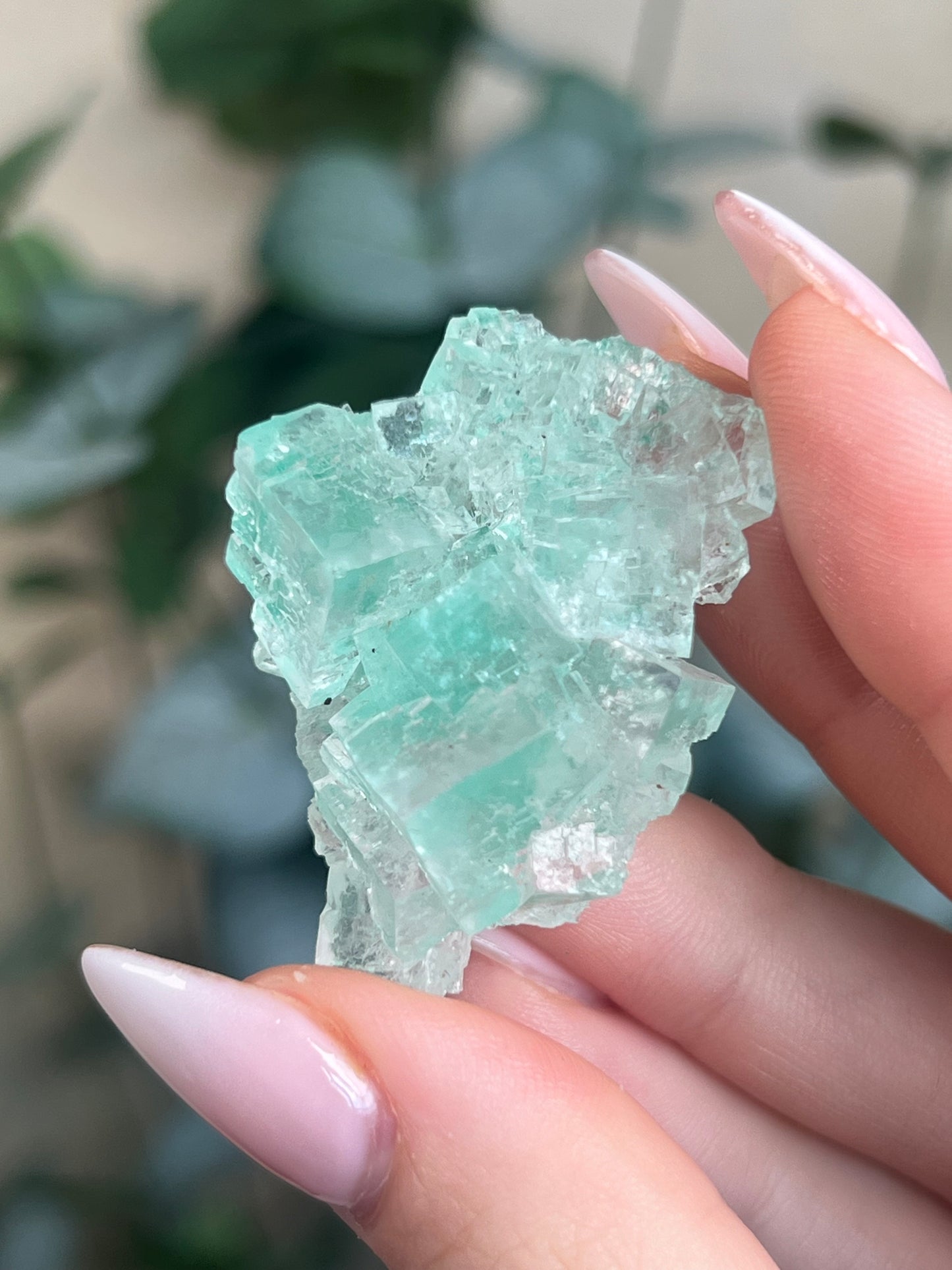 Green Halite with Display Block (65KI)