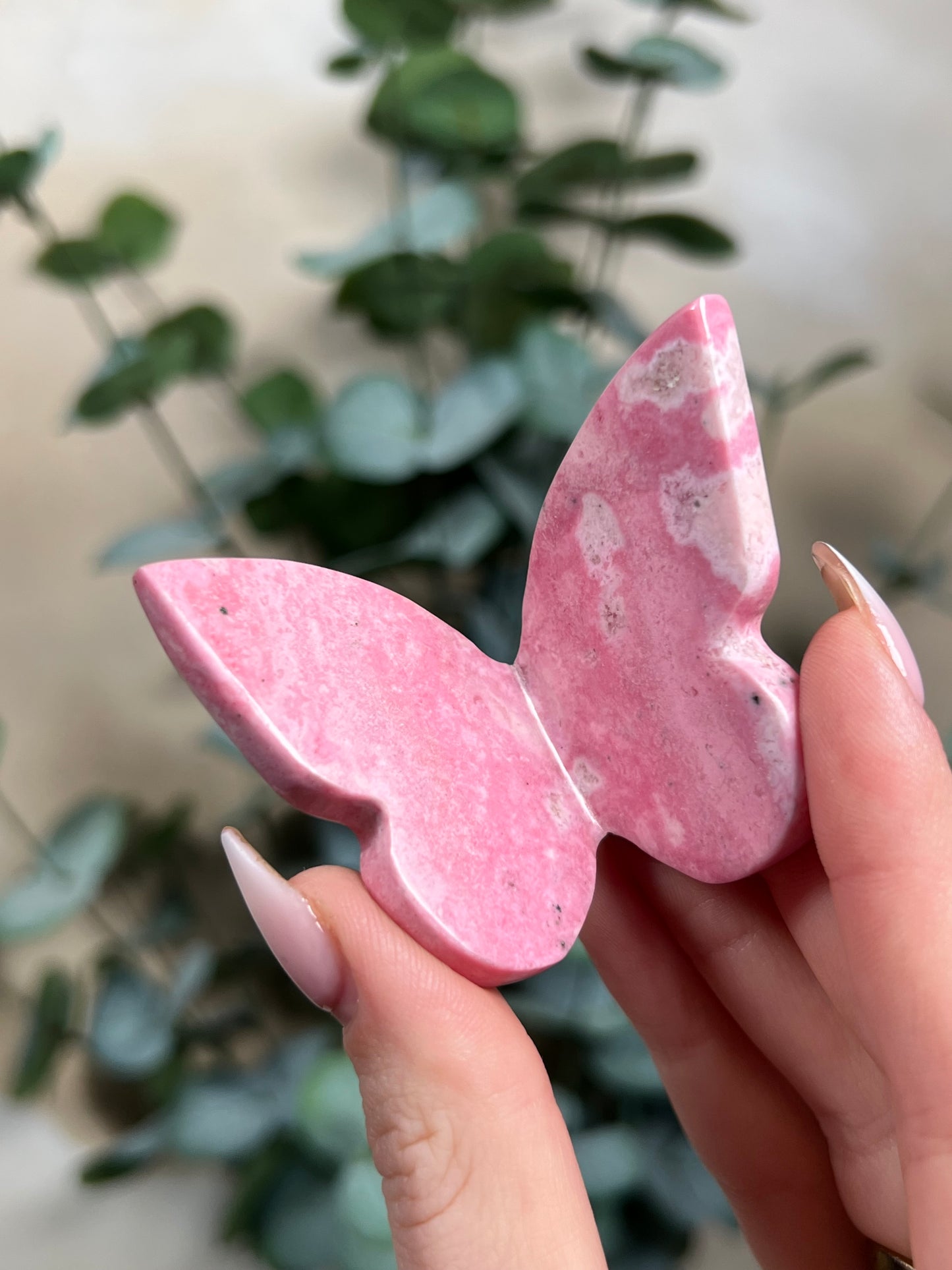 Rhodonite Butterflies
