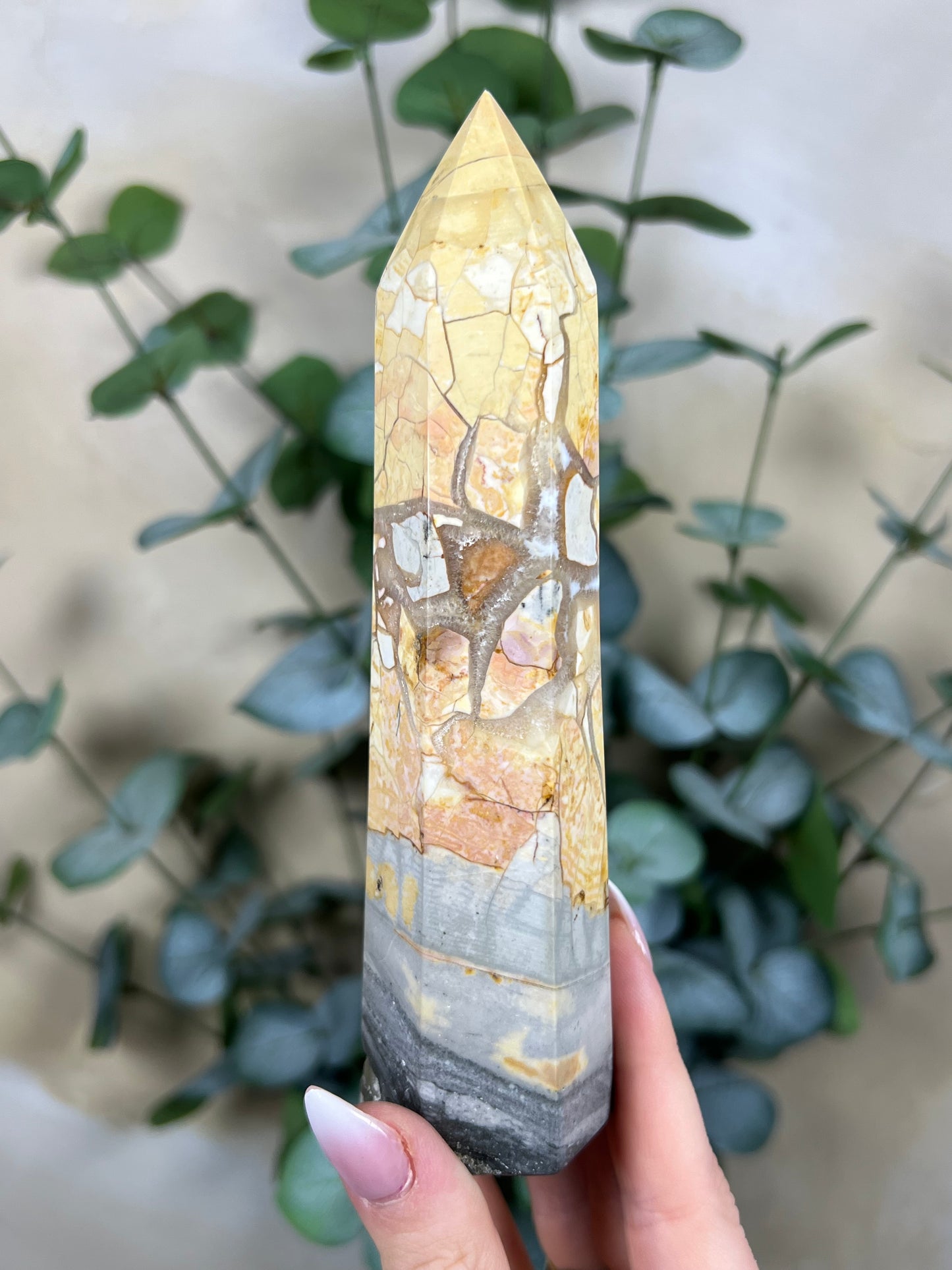 Ibis Jasper Tower (36EU)