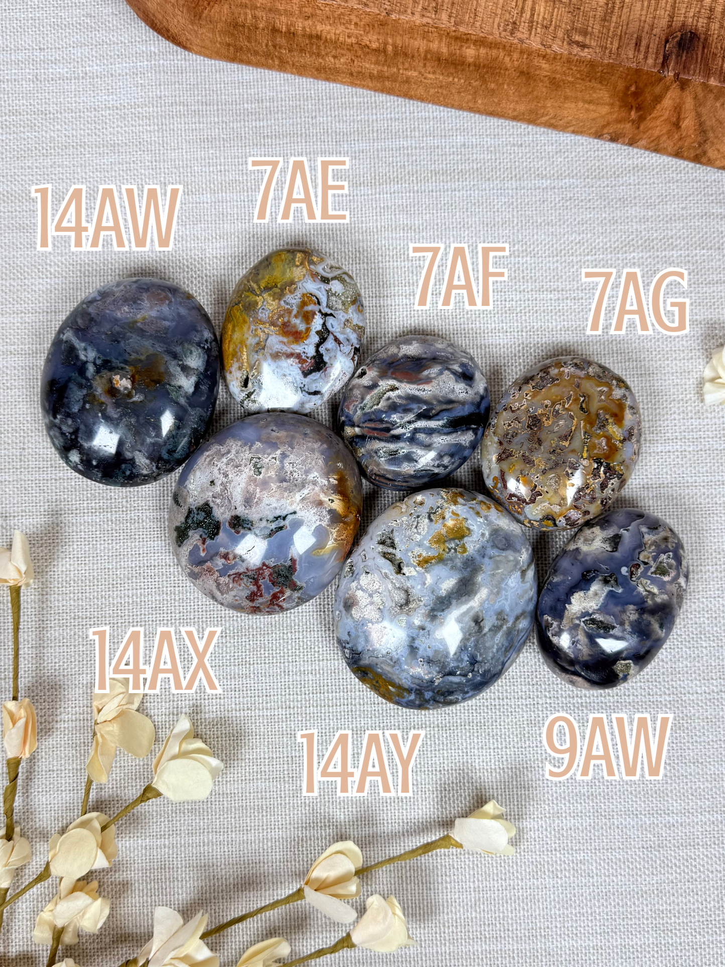 Cosmic Jasper Palms (7 options)