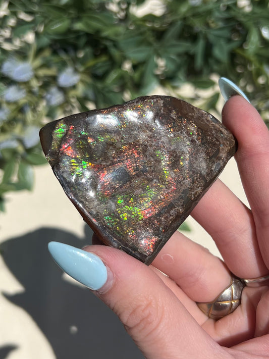 Ammolite (52AC)