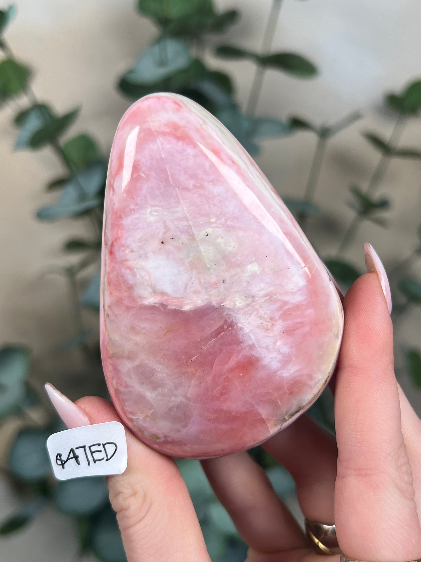 Strawberry Opal Palms (4 options)