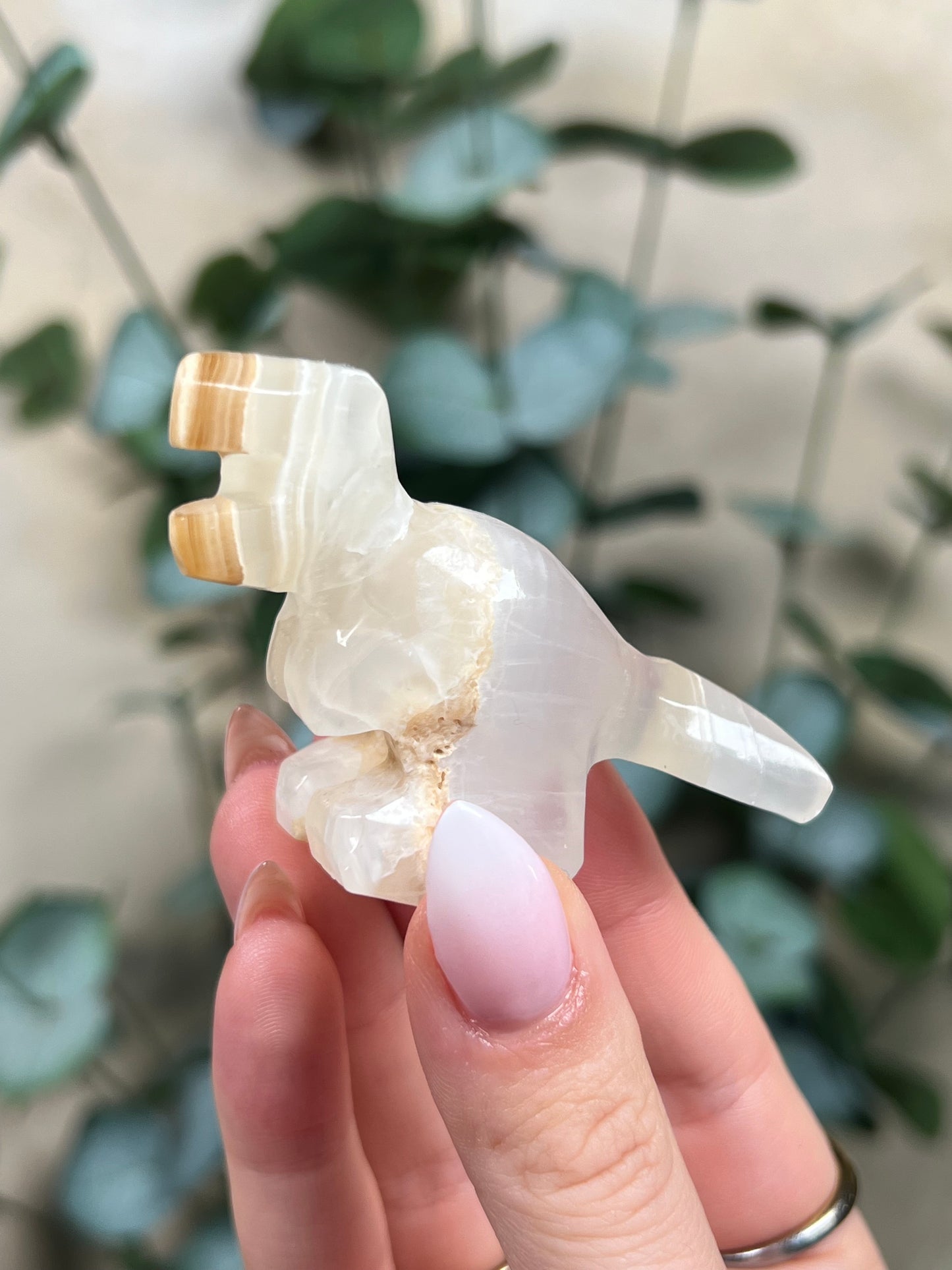 Calcite Dino - T-Rex