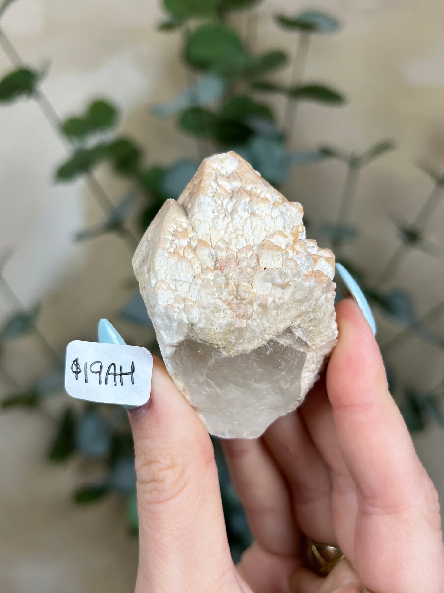 Feldspar Quartz (18AH, 19AH)