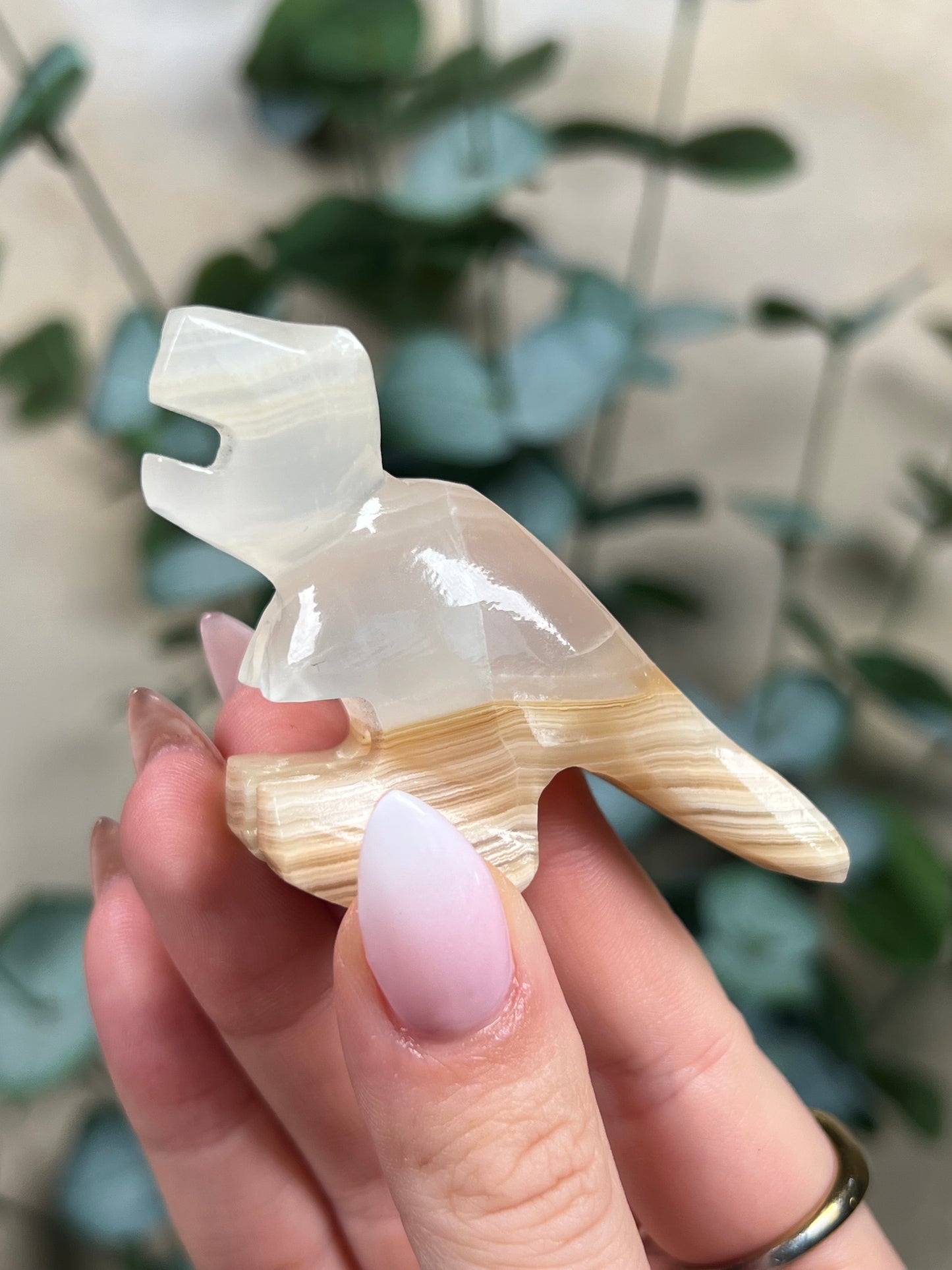 Calcite Dino - T-Rex