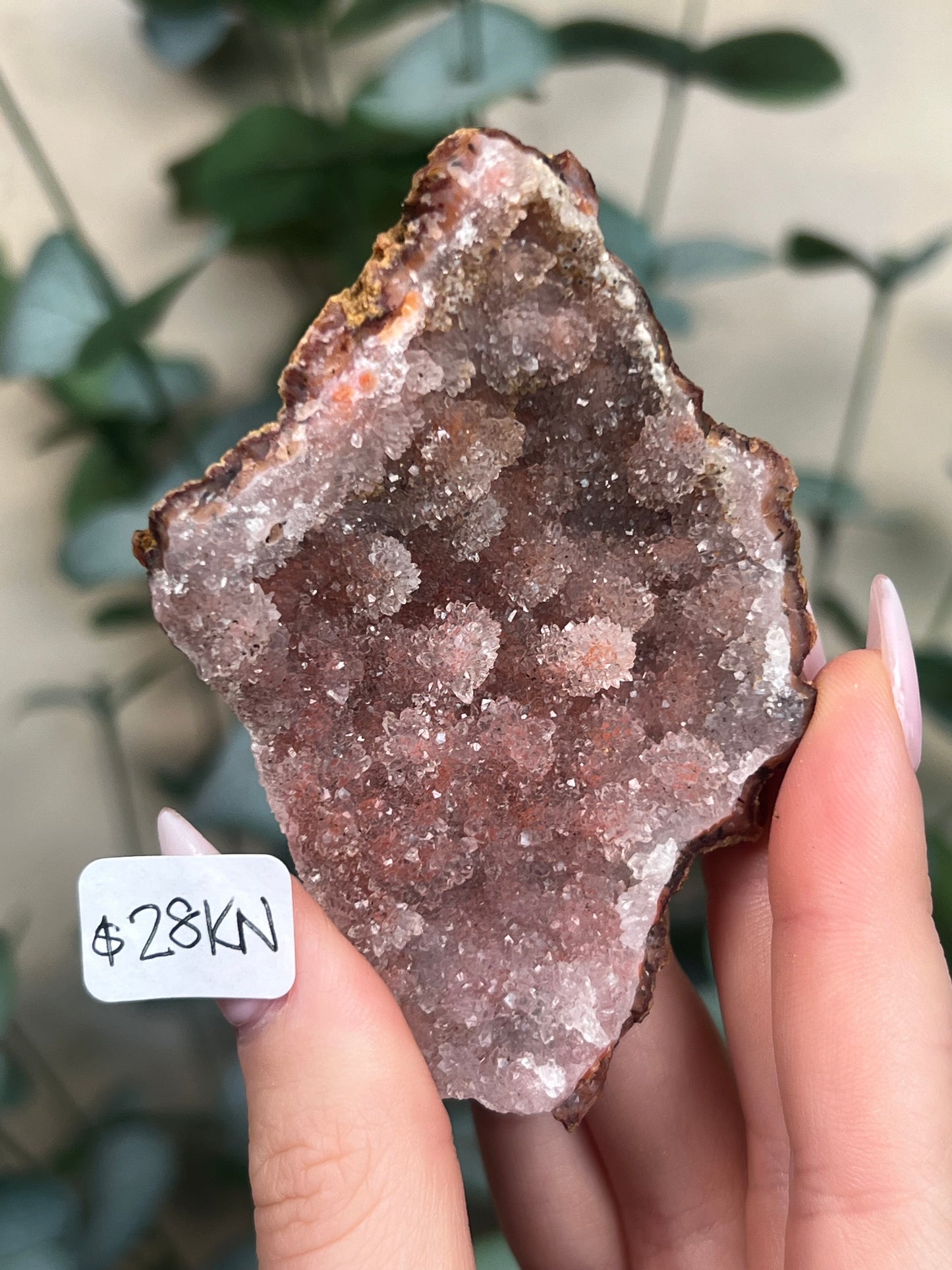 Pink Chalcedony Geodes (8 options)