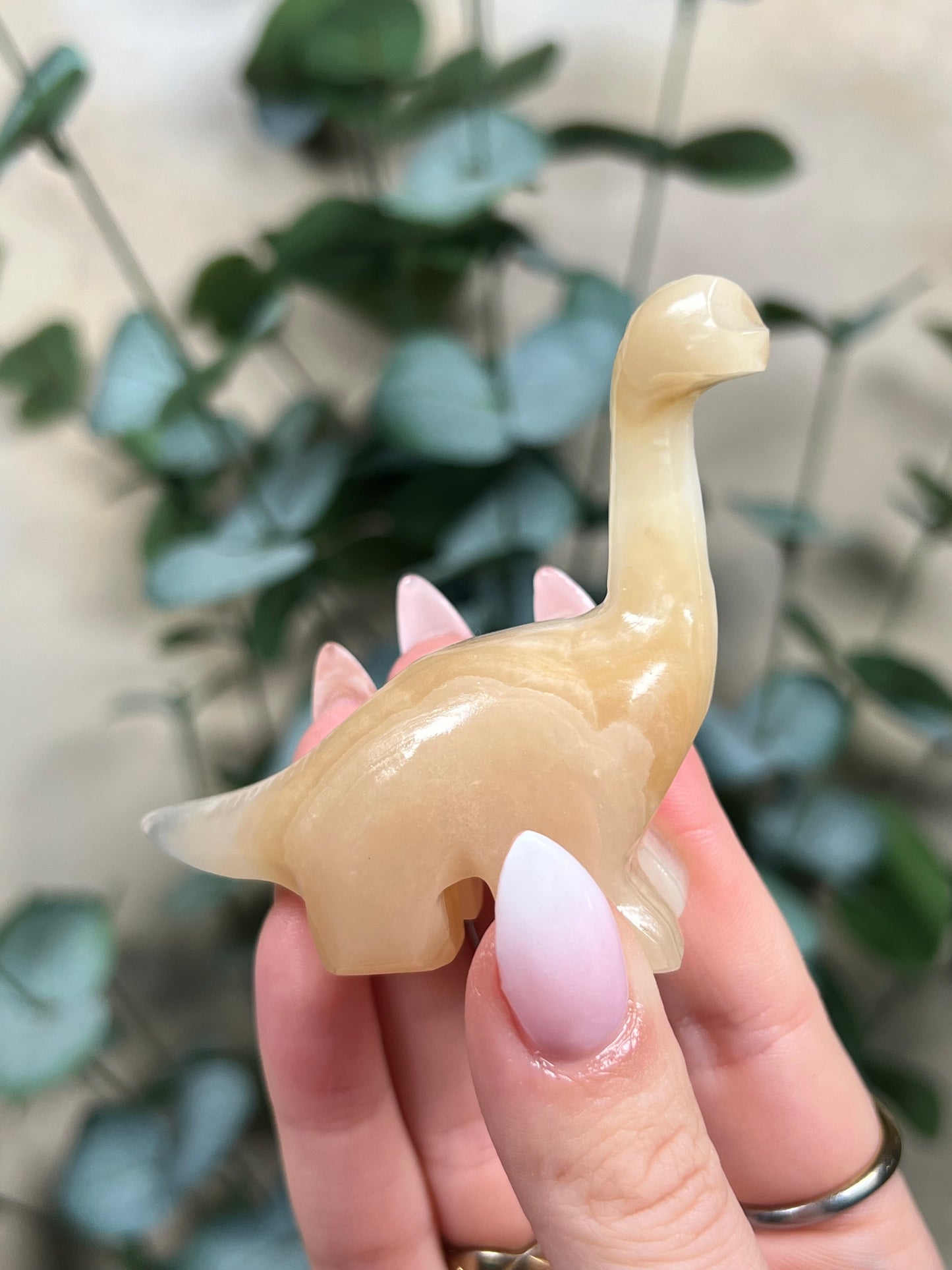 Calcite Dino - Brontosaurus