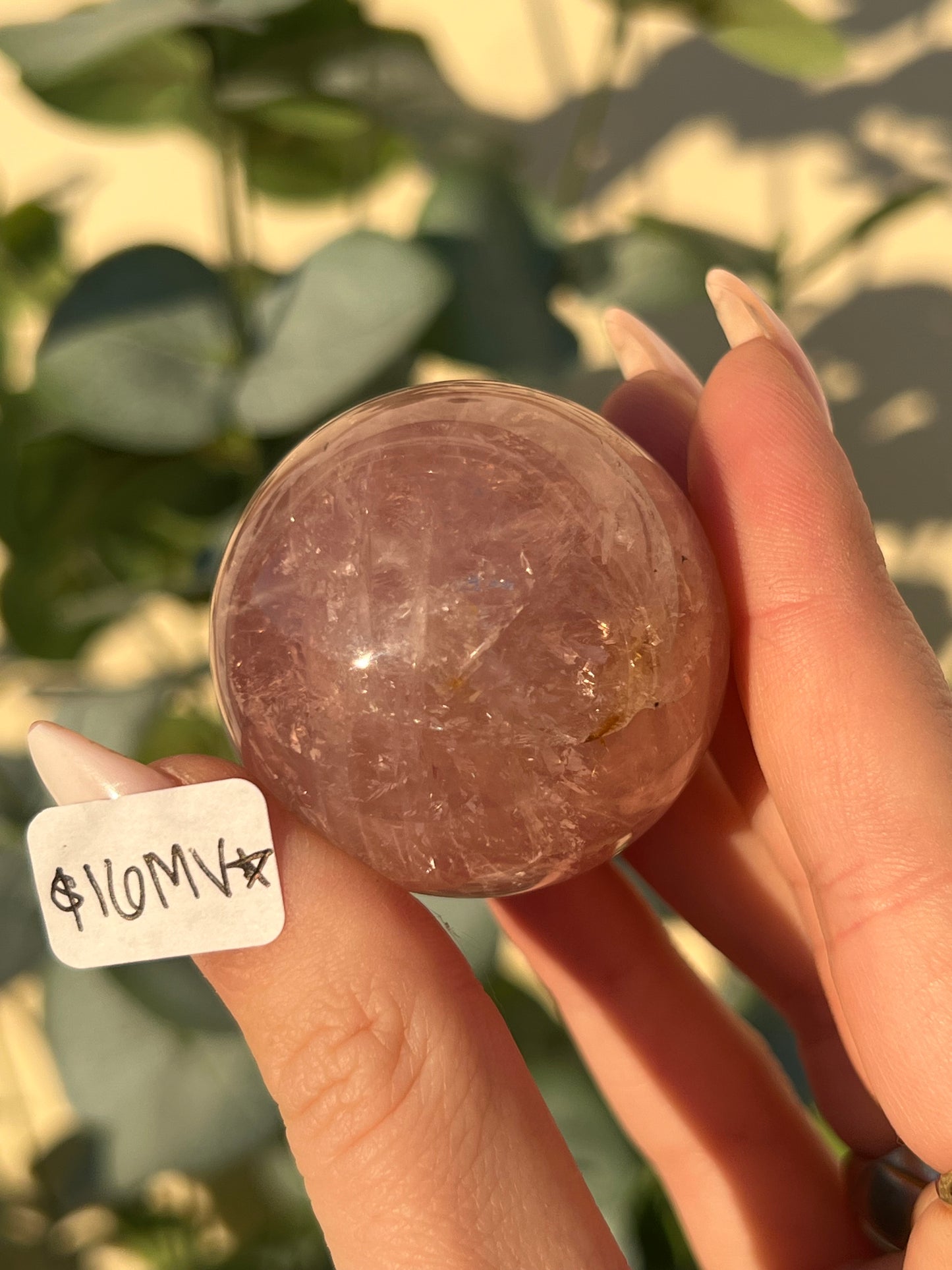 Star Rose Quartz Spheres (13NC, 16MV, 17LS, 17LT)
