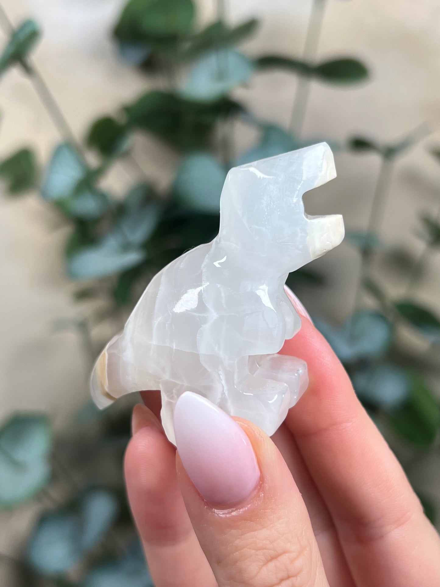 Calcite Dino - T-Rex
