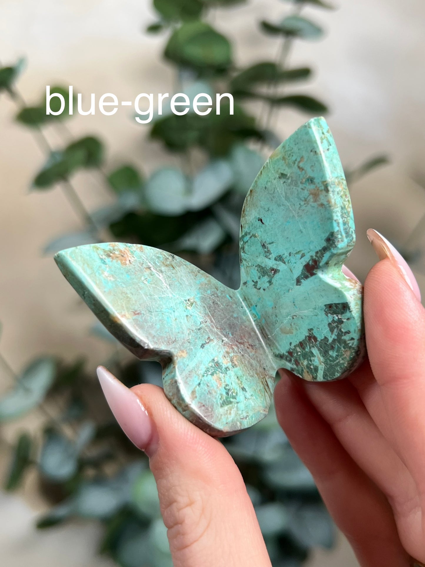 Chrysocolla Butterflies
