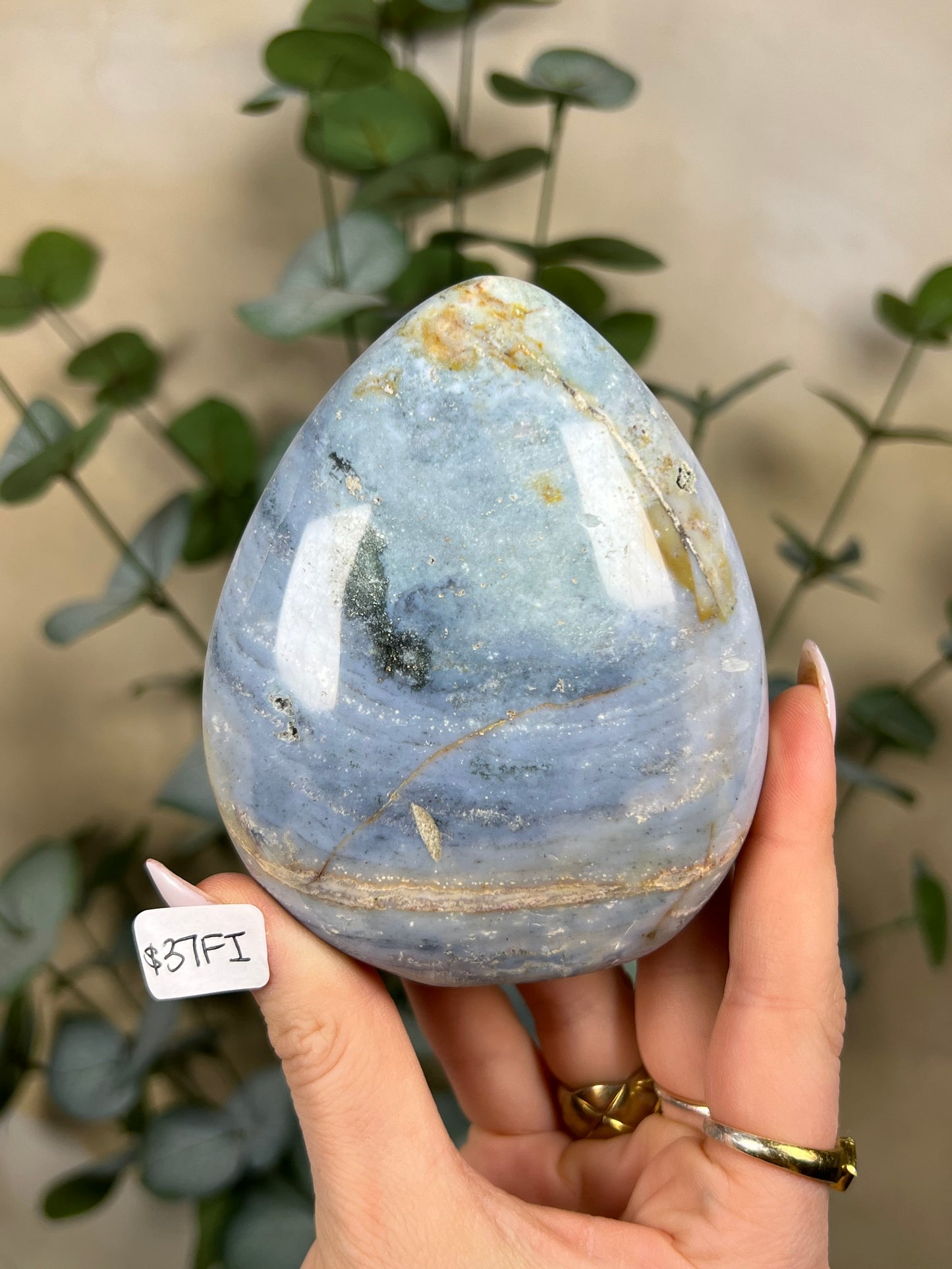 Sea Jasper Freeforms (34FQ, 37FI)