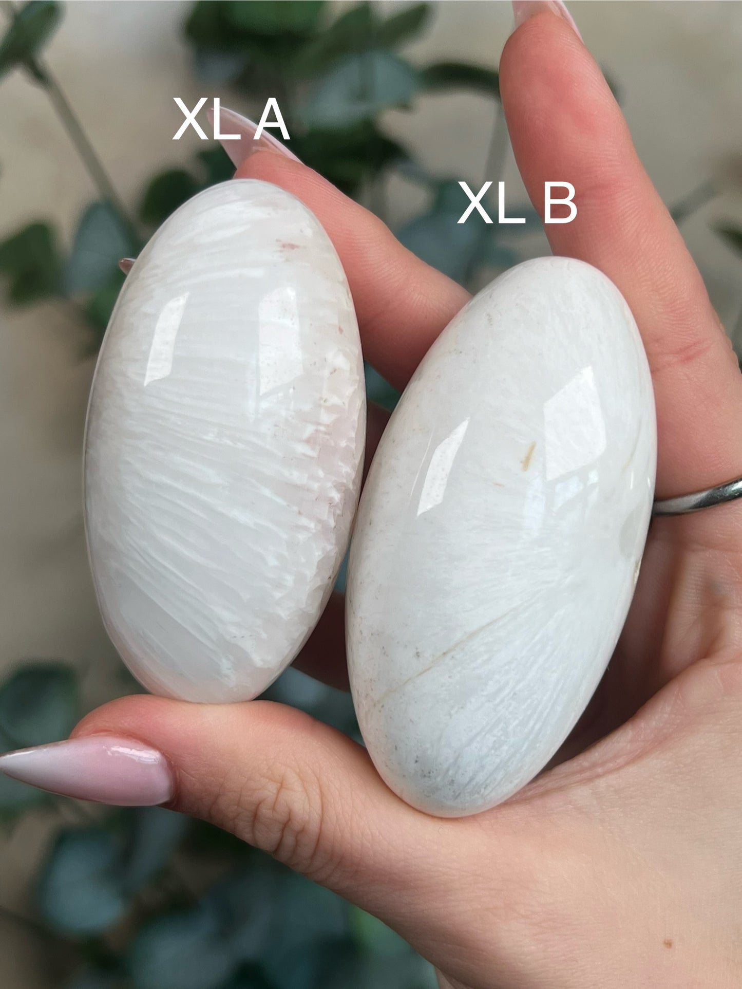Scolecite Shivas (4 sizes)