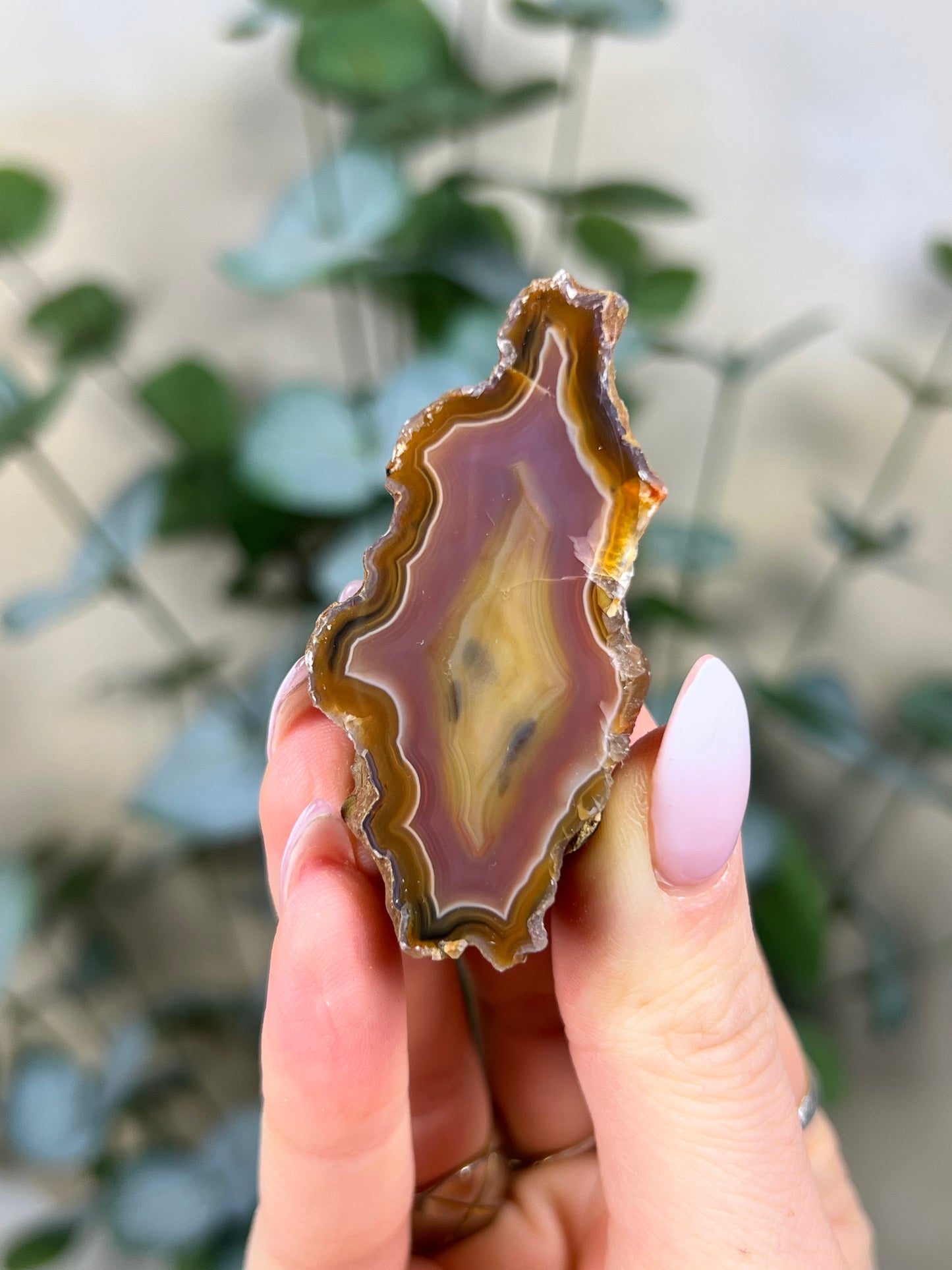 Condor Agate (18GX)