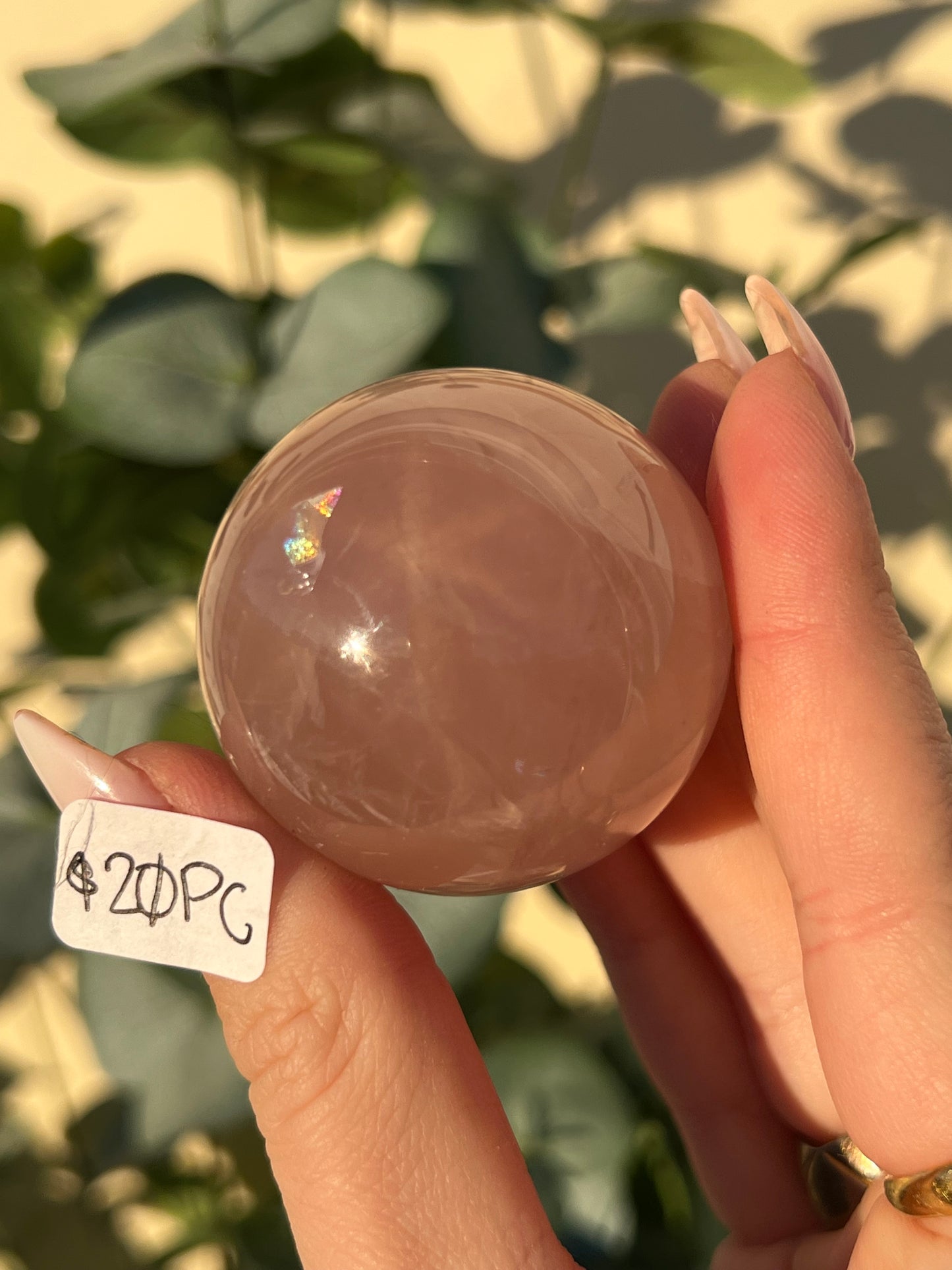 Star Rose Quartz Spheres (18MQ, 18MR, 20PC, 21MD)