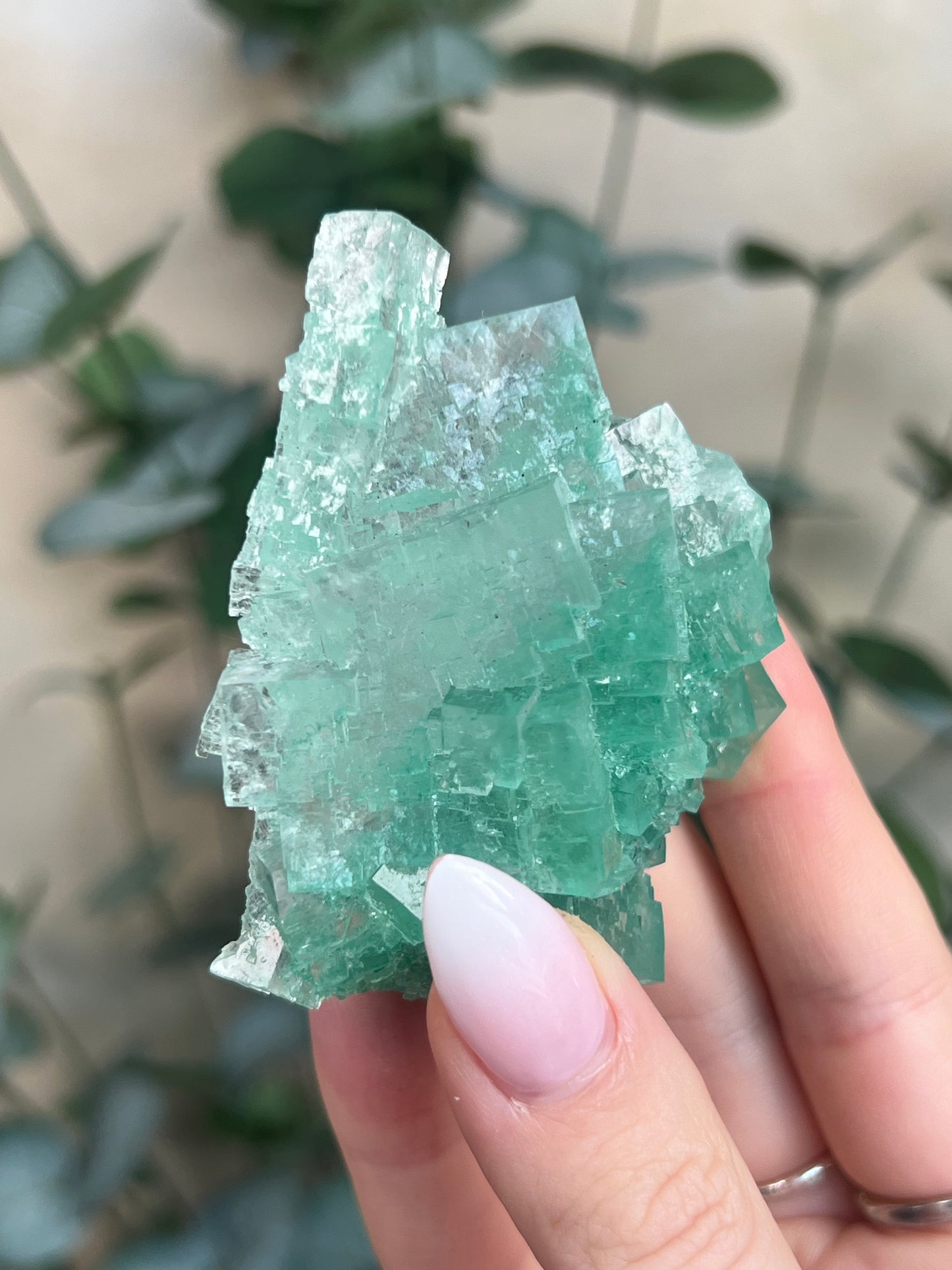 Green Halite with Display Stand (131KA)