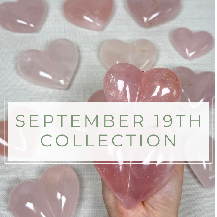 September 19th Collection