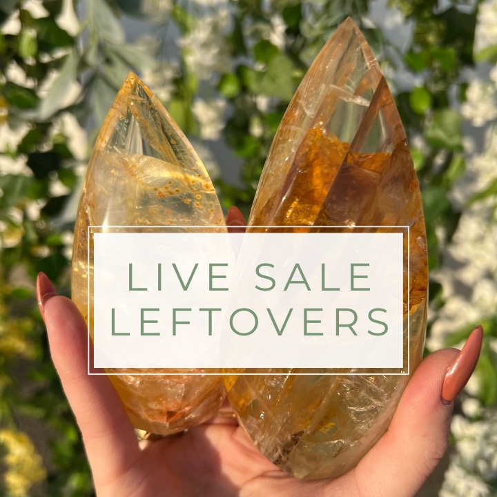 Live Sale Leftovers