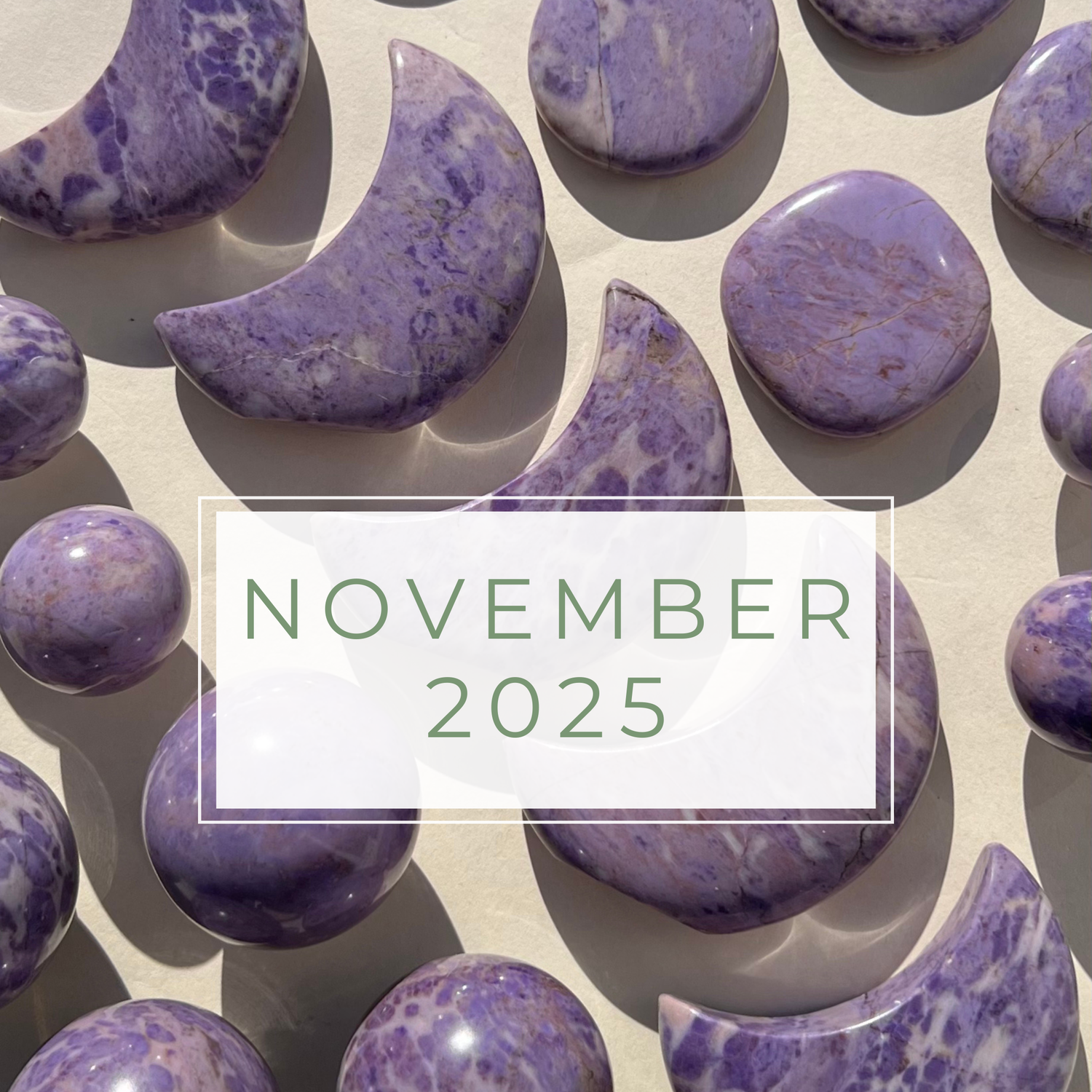 November 2025 Collection