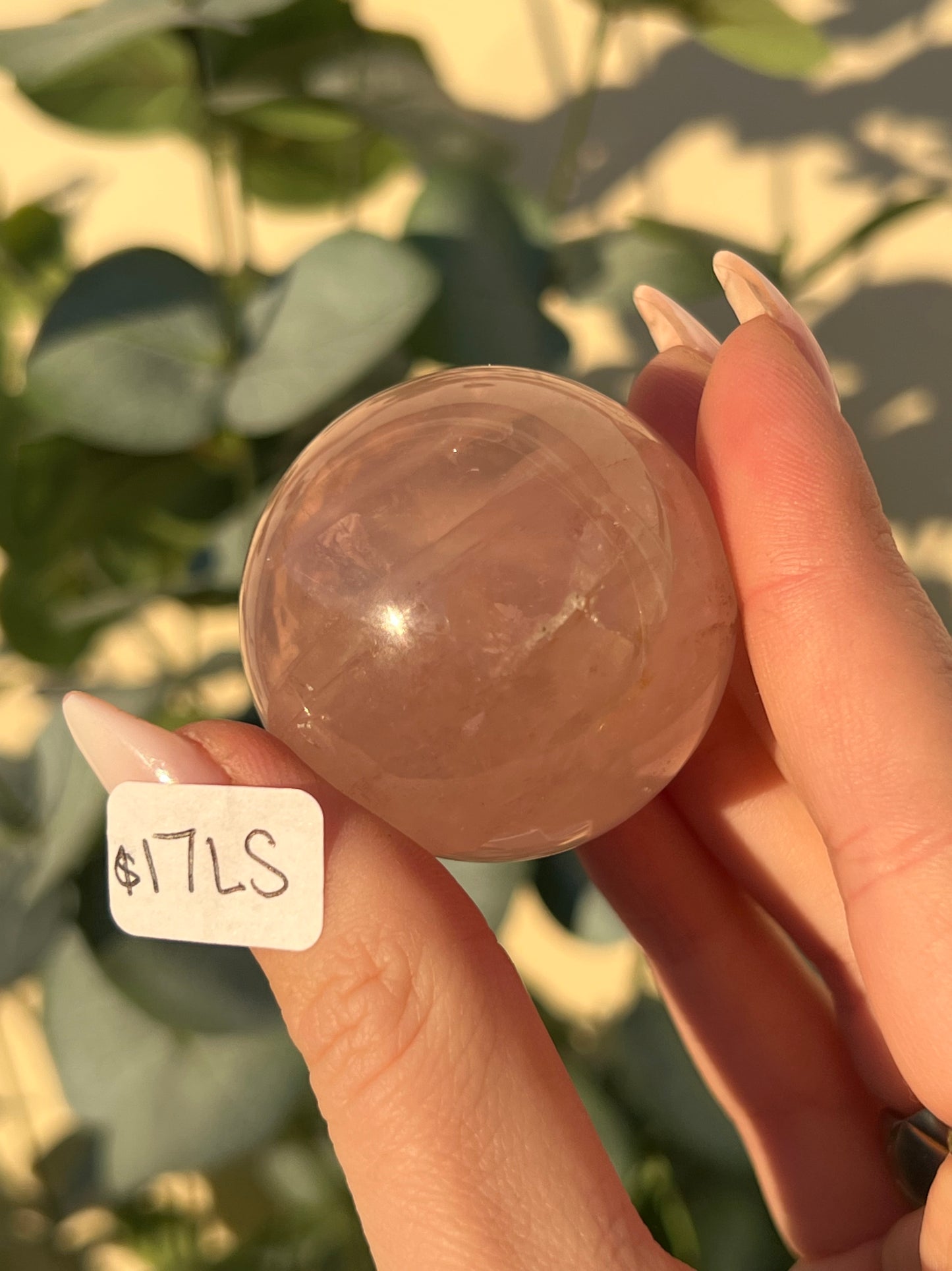 Star Rose Quartz Spheres (13NC, 16MV, 17LS, 17LT)