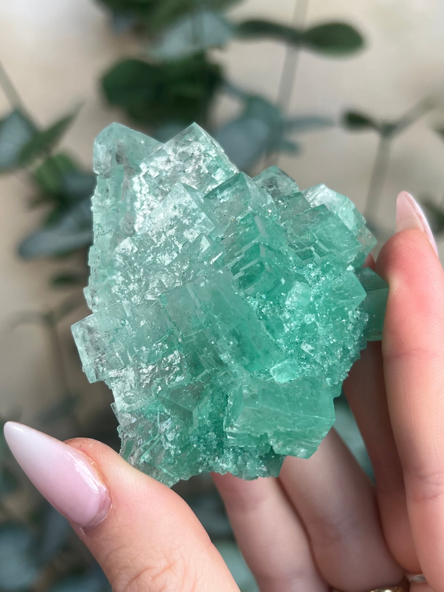 Green Halite with Display Stand (131KA)