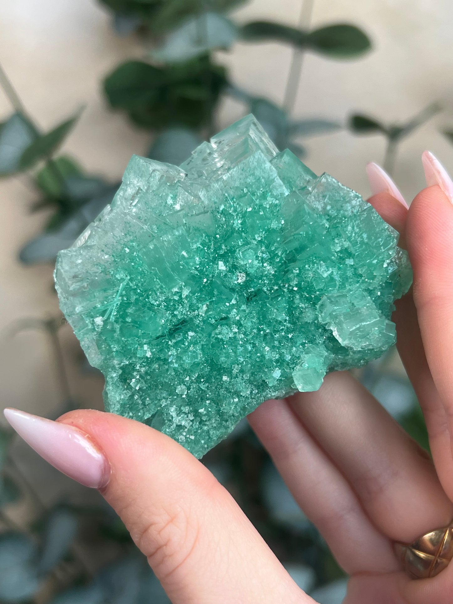 Green Halite with Display Stand (153KA)