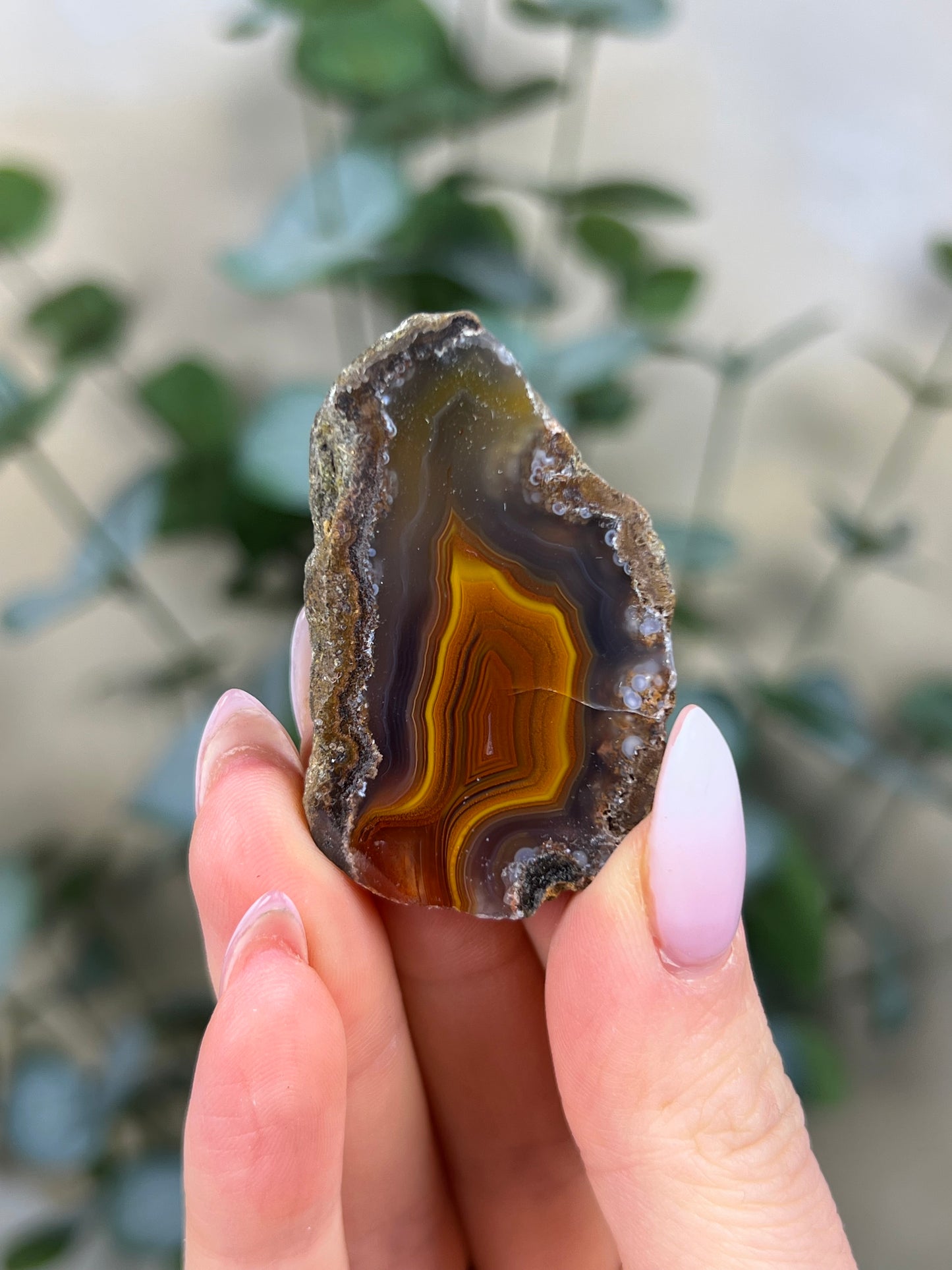 Condor Agate (15HG)