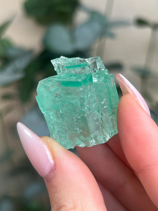 Green Halite with Display Block (65KJ)