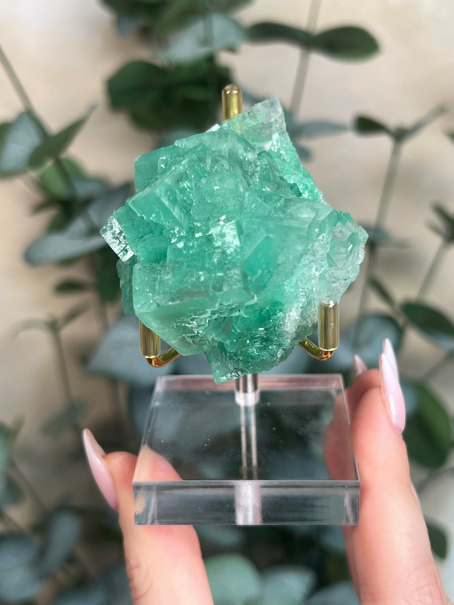 Green Halite with Display Stand (121KB)