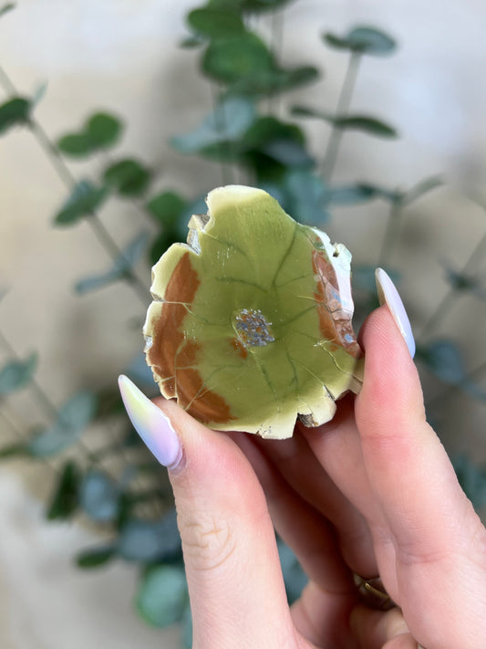 Argentinian Orbicular Jasper (33AB)