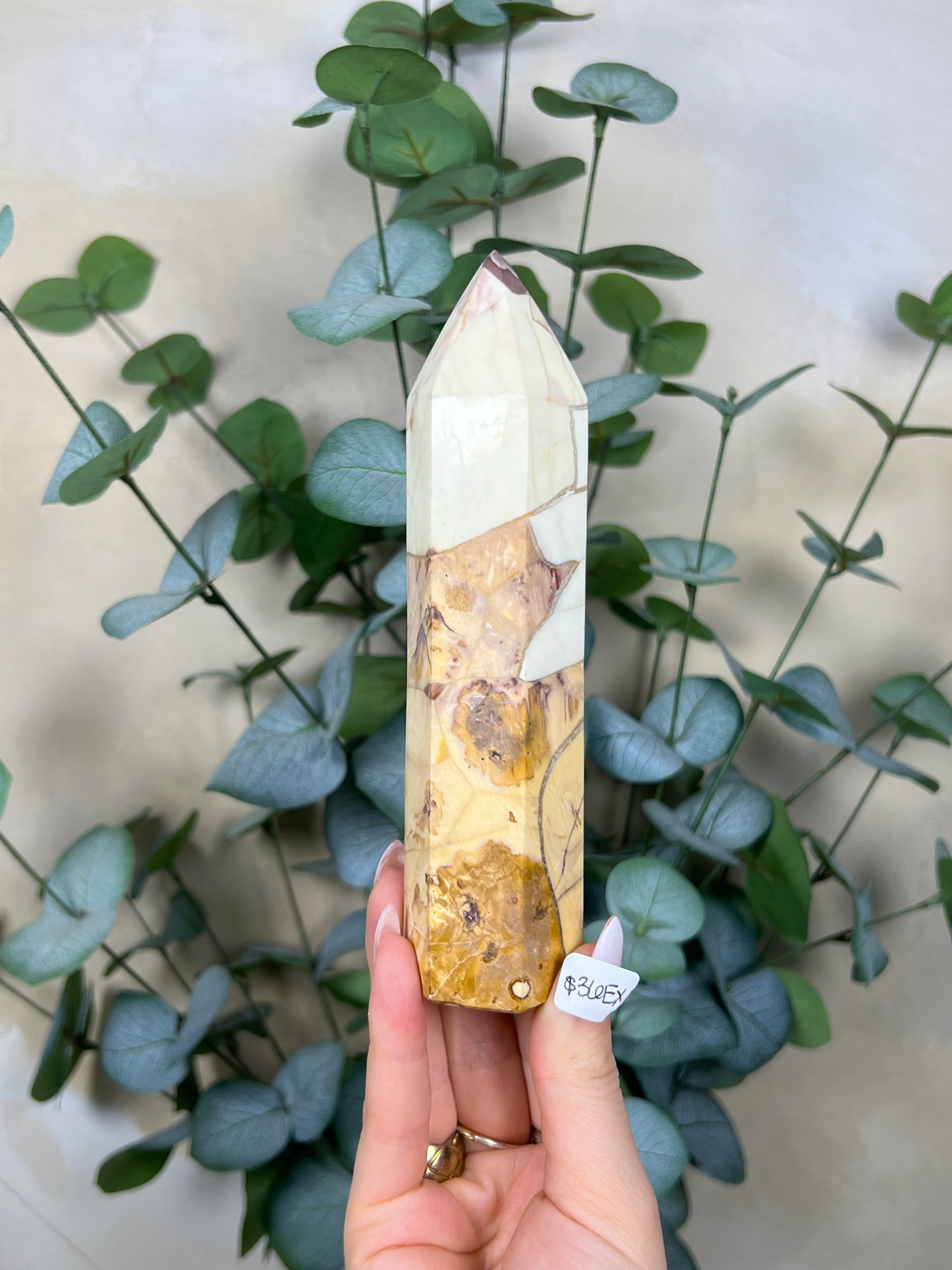 Ibis Jasper Towers (35ER, 36EX)