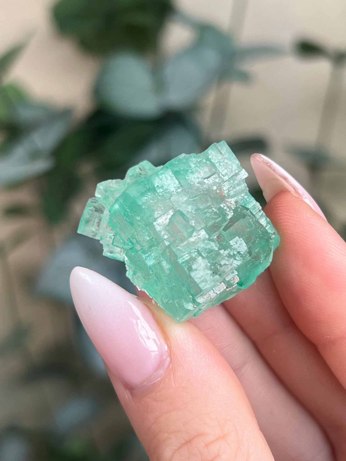 Green Halite with Display Block (60KP)