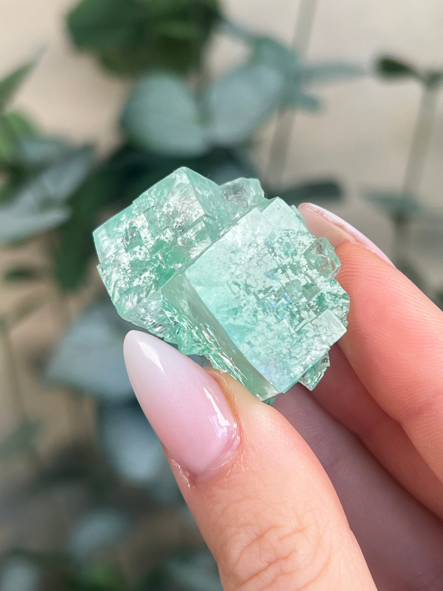 Green Halite with Display Block (90KE)