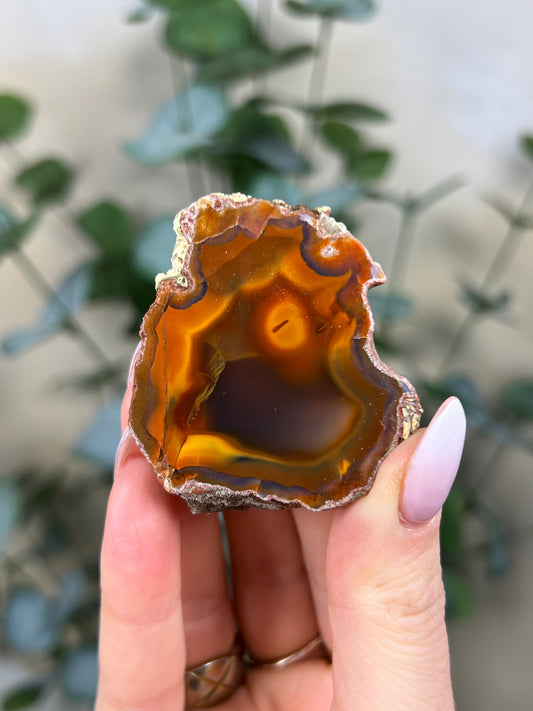 Condor Agate (20HA)