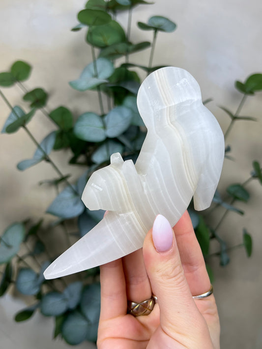 Calcite Stretching Cat (23GC)