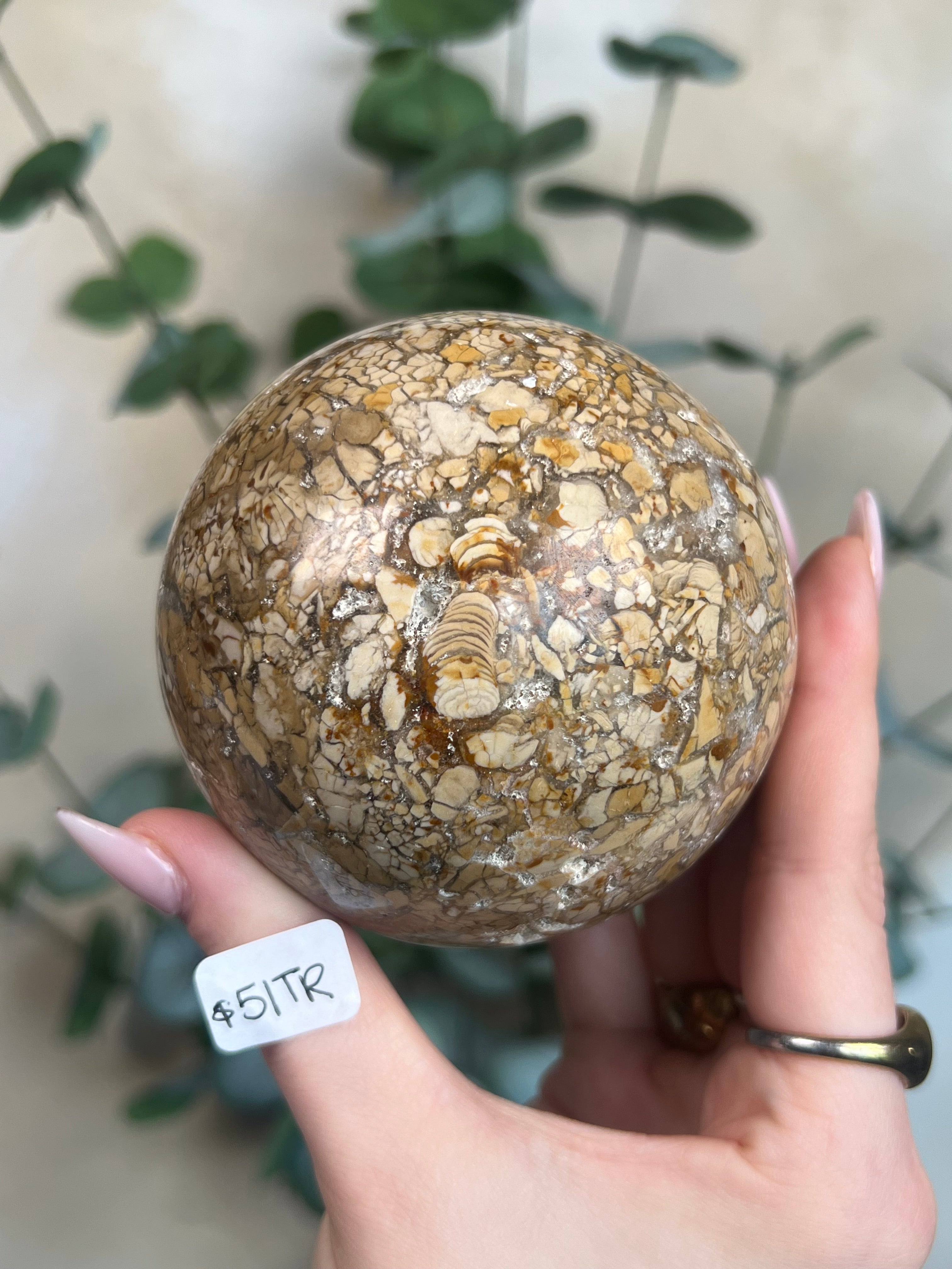 Ibis Jasper Spheres (3 options) – Calm and Collective Minerals