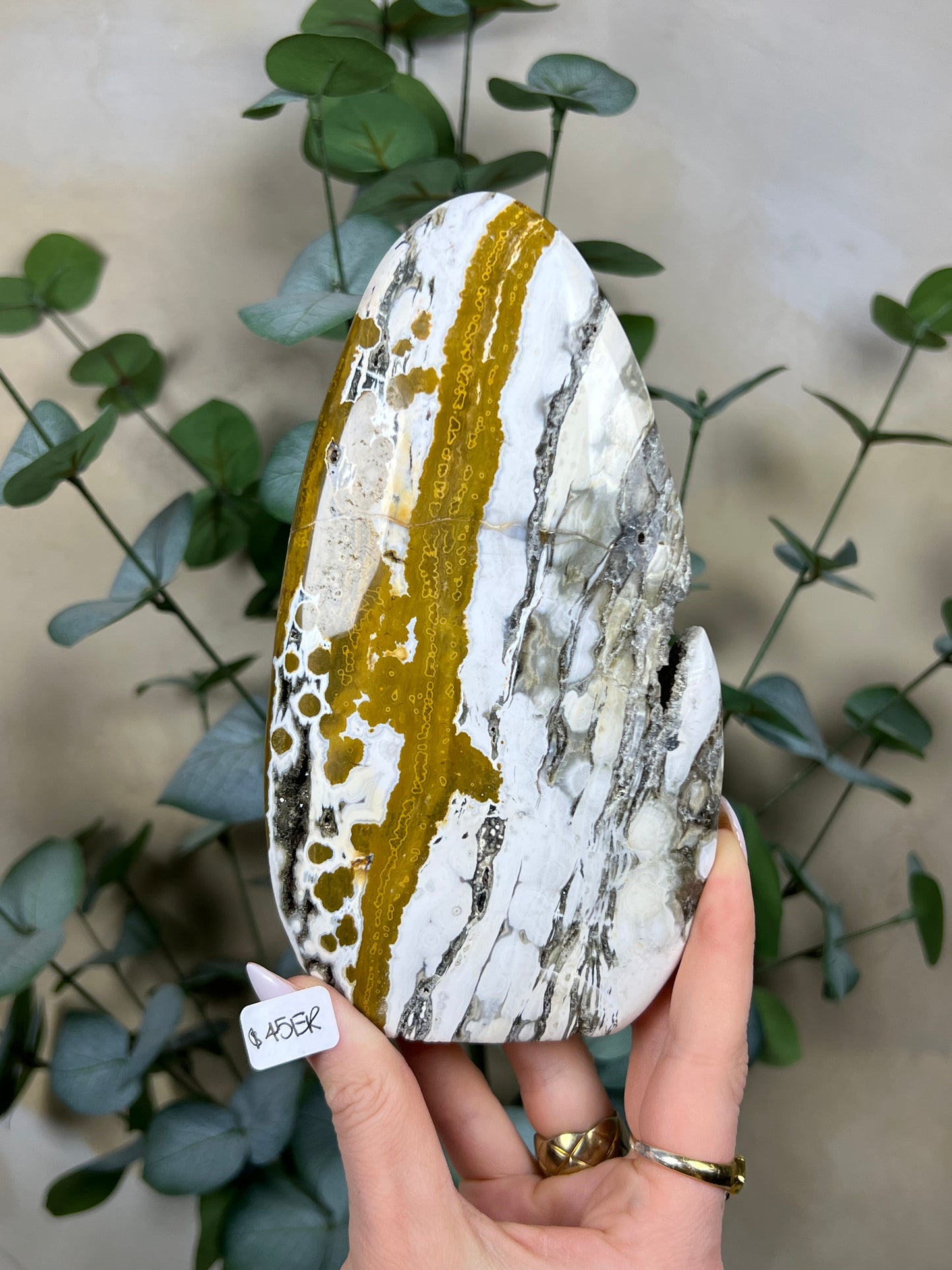 Sea Jasper Freeforms (43ET, 45ER)