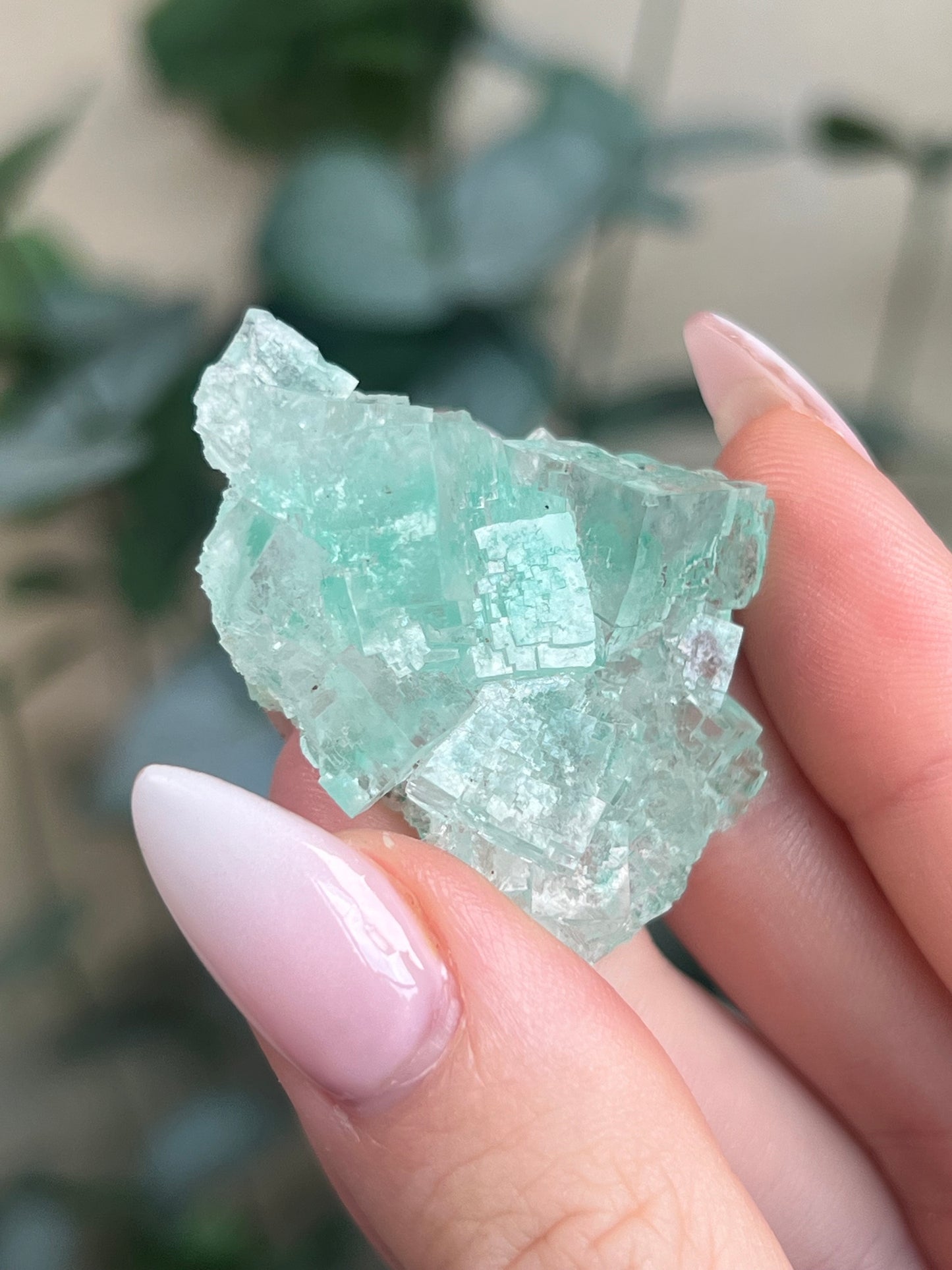 Green Halite with Display Block (65KI)