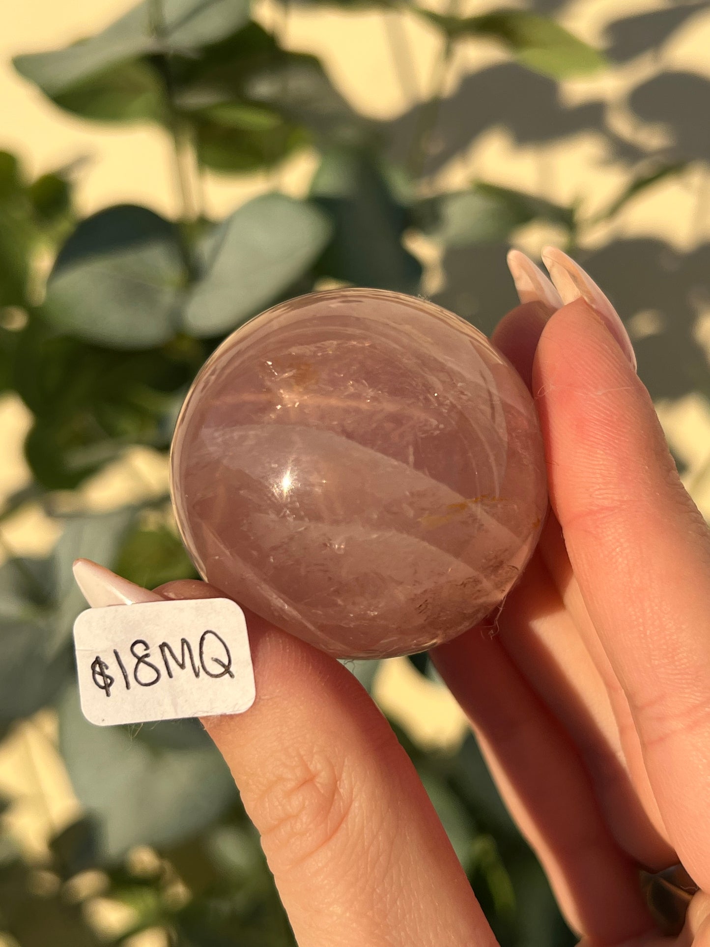 Star Rose Quartz Spheres (18MQ, 18MR, 20PC, 21MD)