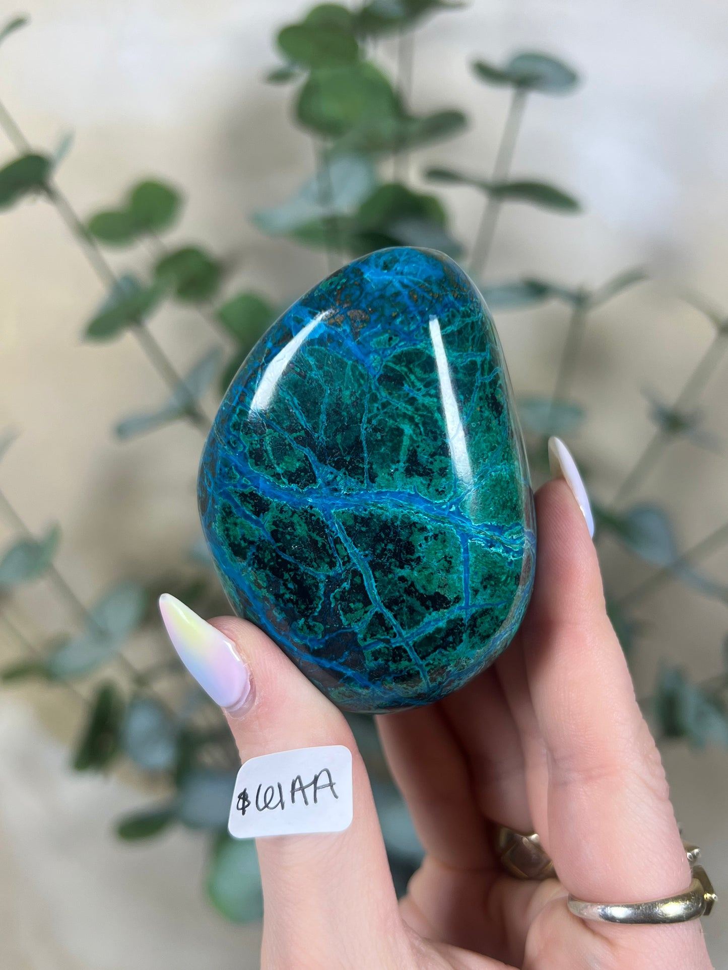 Malachite Chrysocolla Freeforms (37AB-61AA)