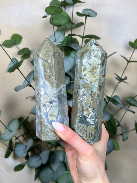 Ibis Jasper Towers (50ER, 51EG)