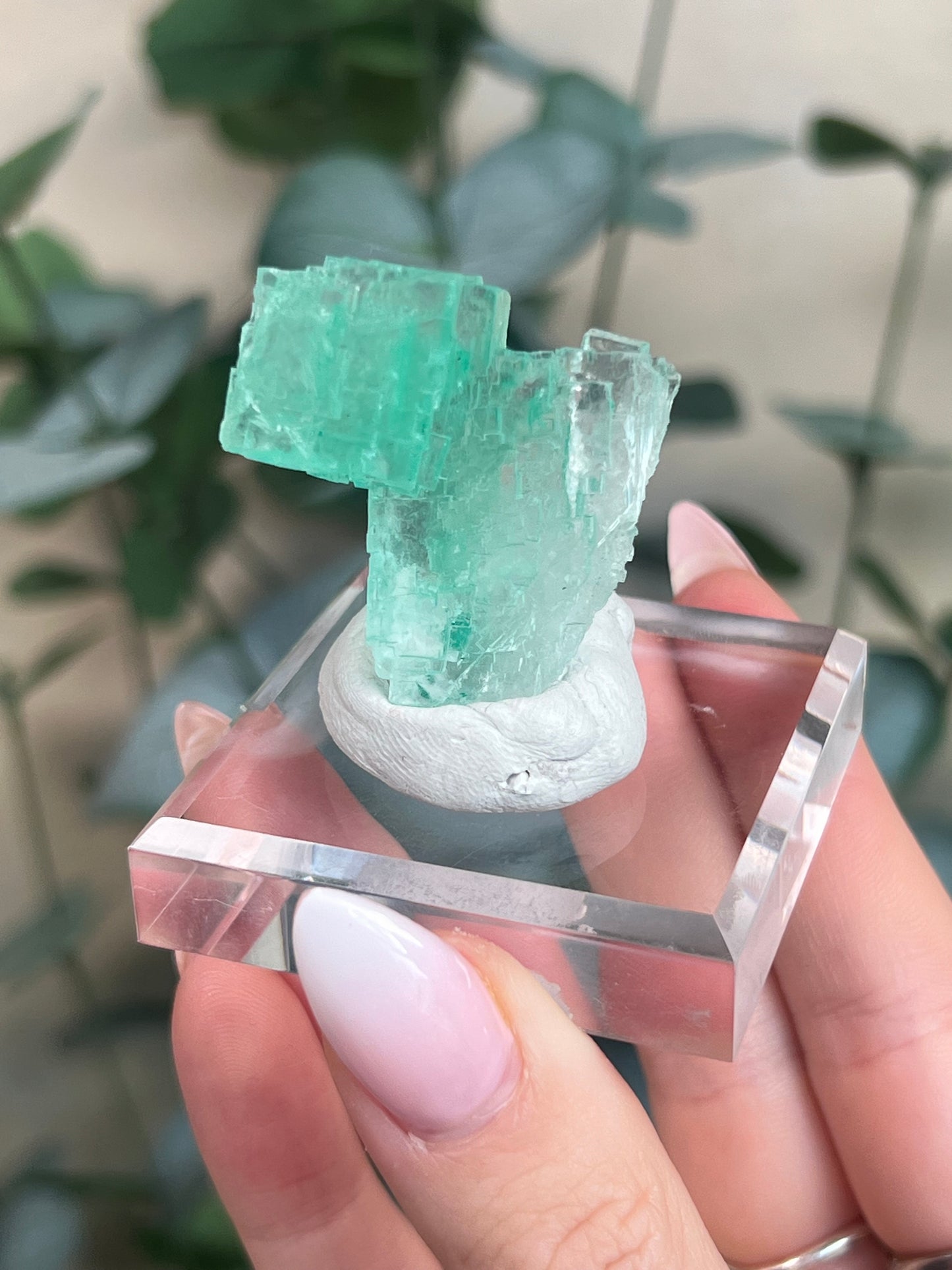 Green Halite with Display Block (85KD)